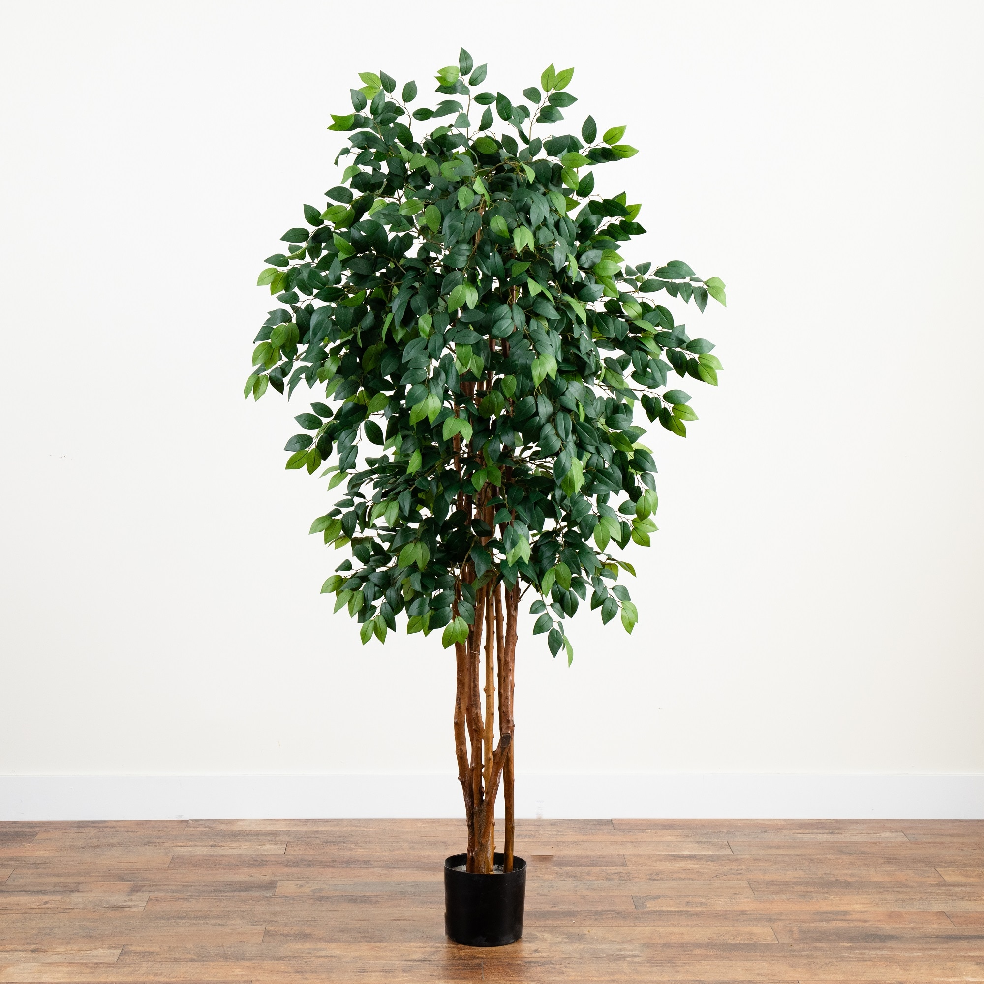 Majestic 7ft Tall Sakaki Silk Tree for Outdoor and Indoor Decor