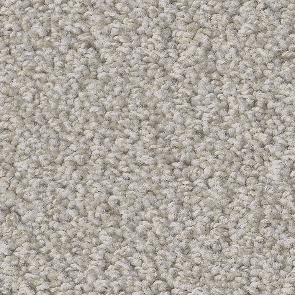 STAINMASTER PetProtect 7L85000104 Carefree Mood Split Sediment Off-white 43.9-oz sq yard Nylon Level loop Indoor Carpet