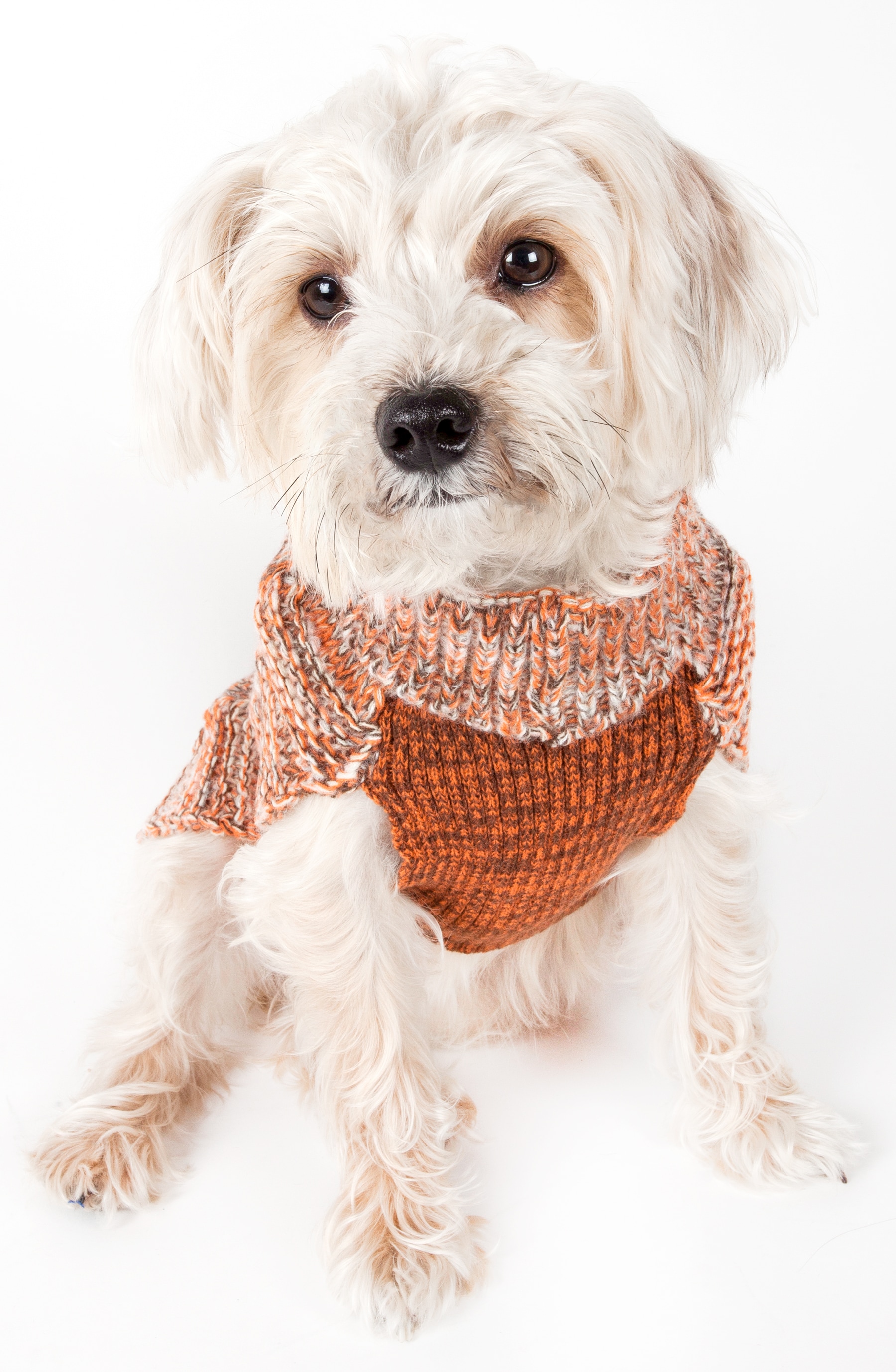 Pet Life SW16TNOLG Dog-Apparel - View #2