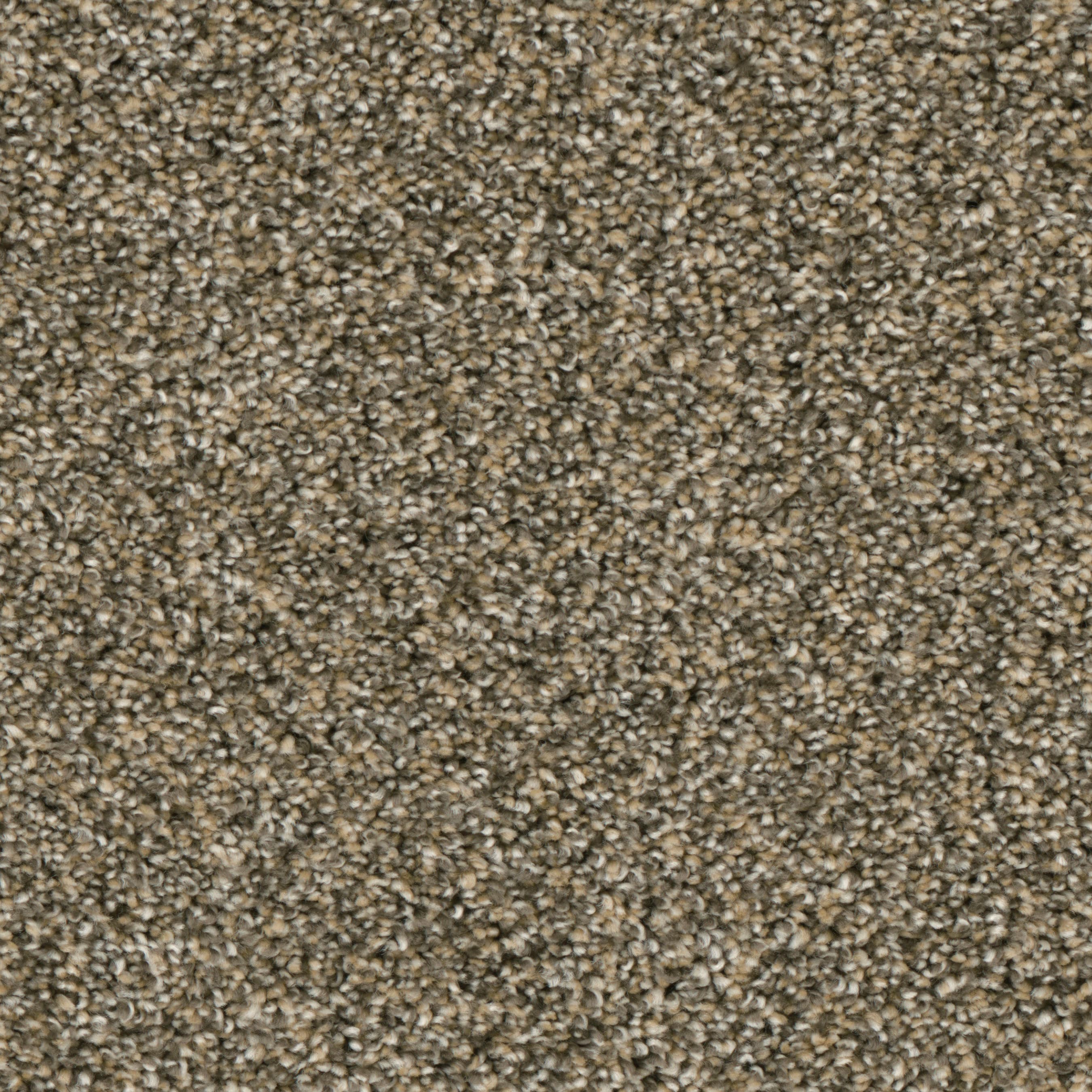 (Sample) Lenox Park Craftsman Textured Indoor Carpet | - STAINMASTER S9255-824-S