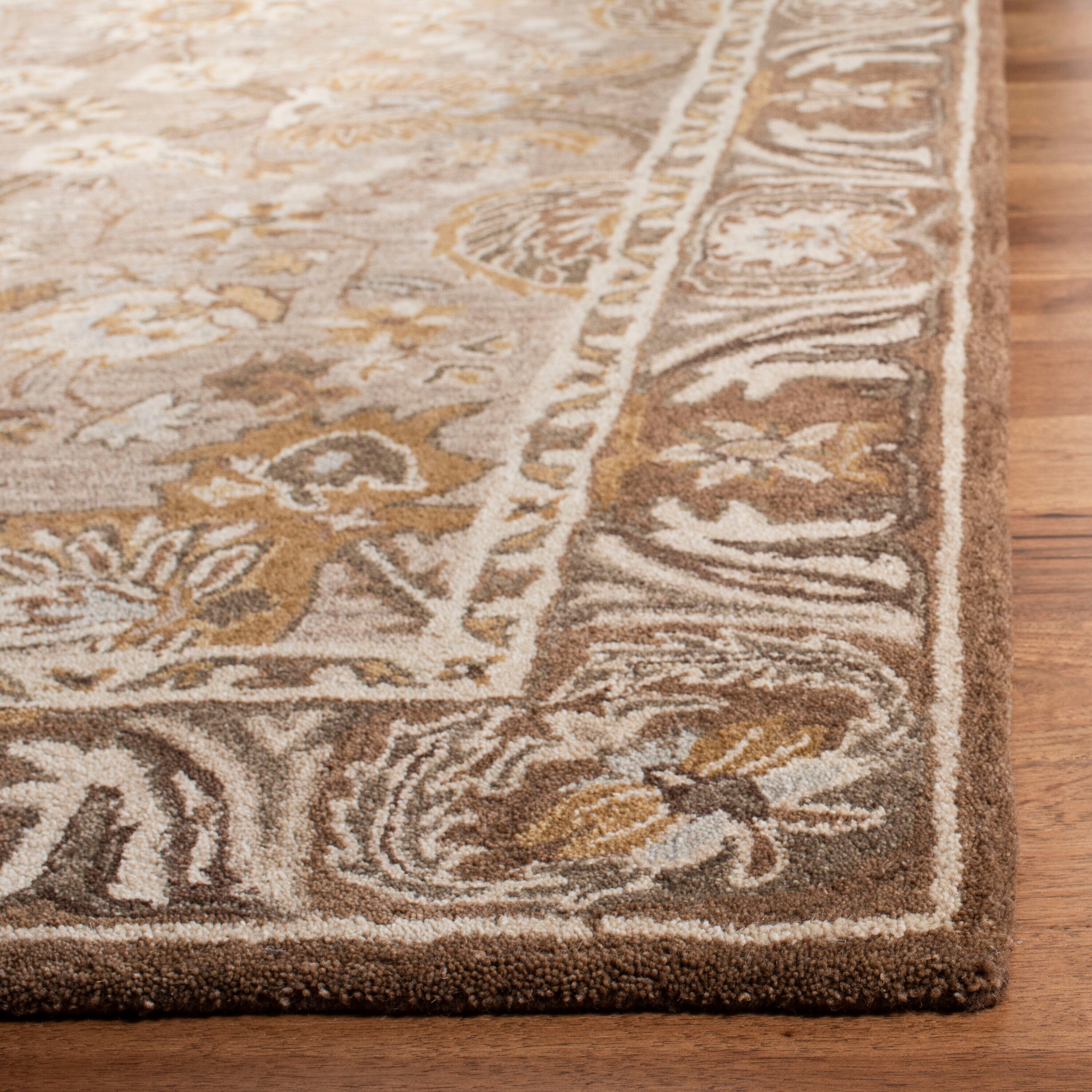 Safavieh AN558A-5 rugs - View #5