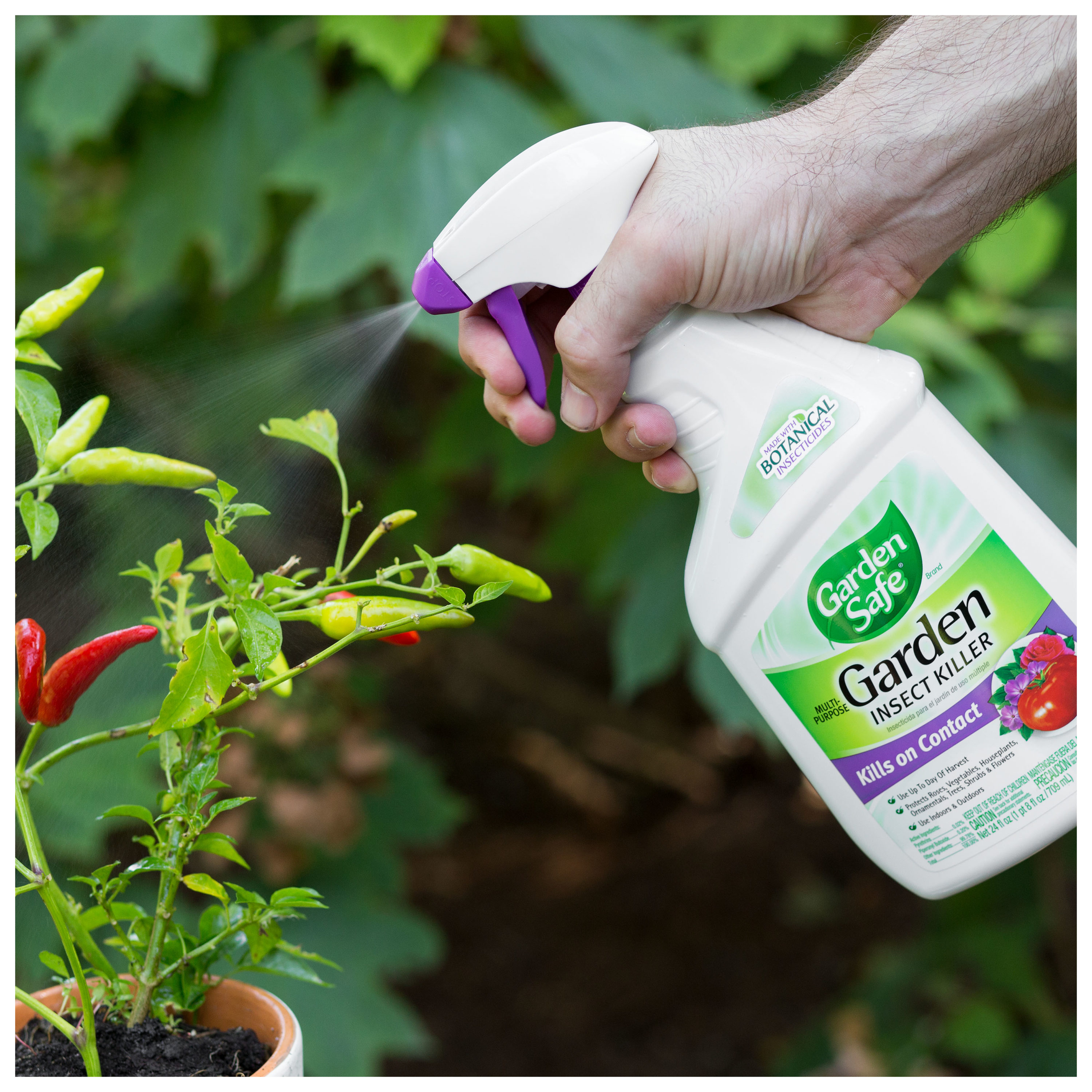 insecticide for plants