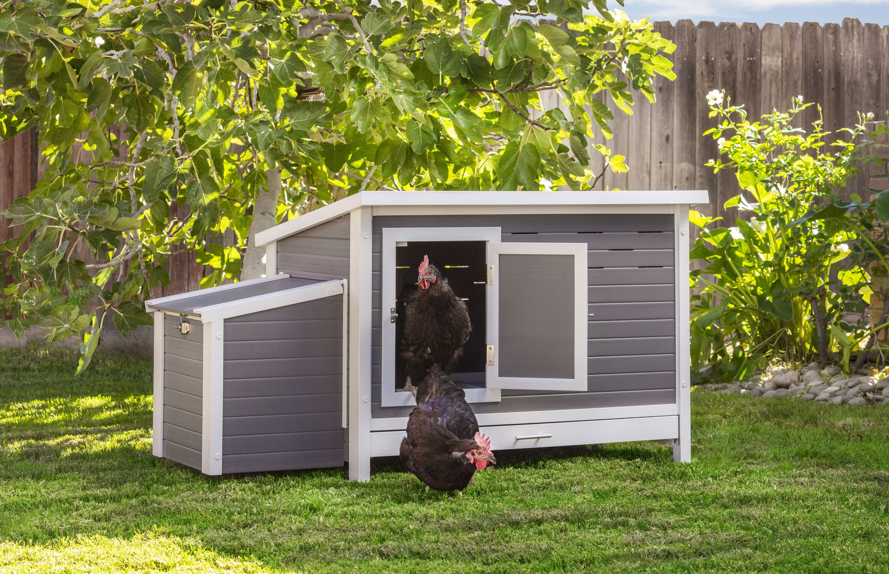 Gray and White ECOFLEX Outdoor Chicken Coop with Removable Tray