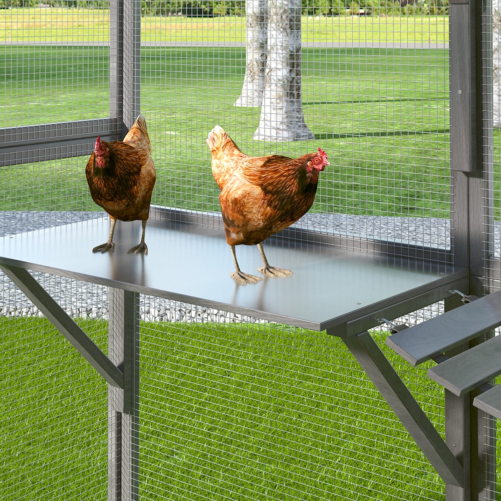 Homsee C-KF150158-03-AB Chicken-Coops-Rabbit-Hutches - View #15