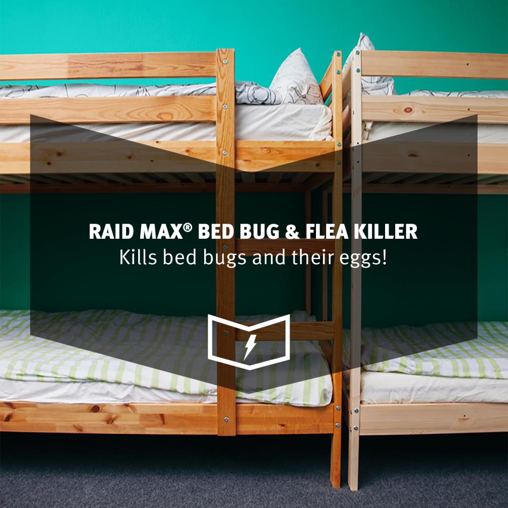 Raid bed bug 2024 and flea spray