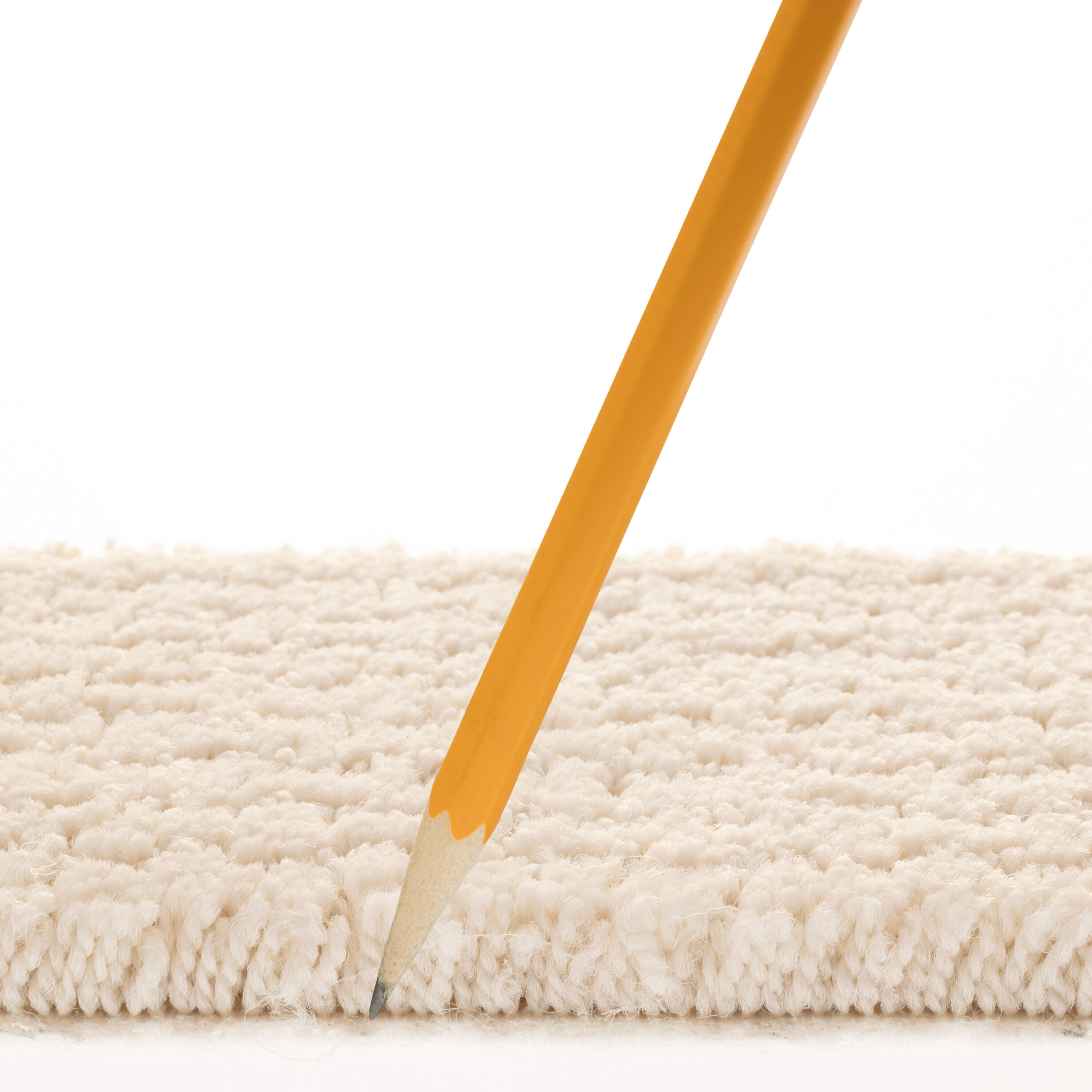 STAINMASTER PetProtect 7L85400143 Carpet-Panel - View #7