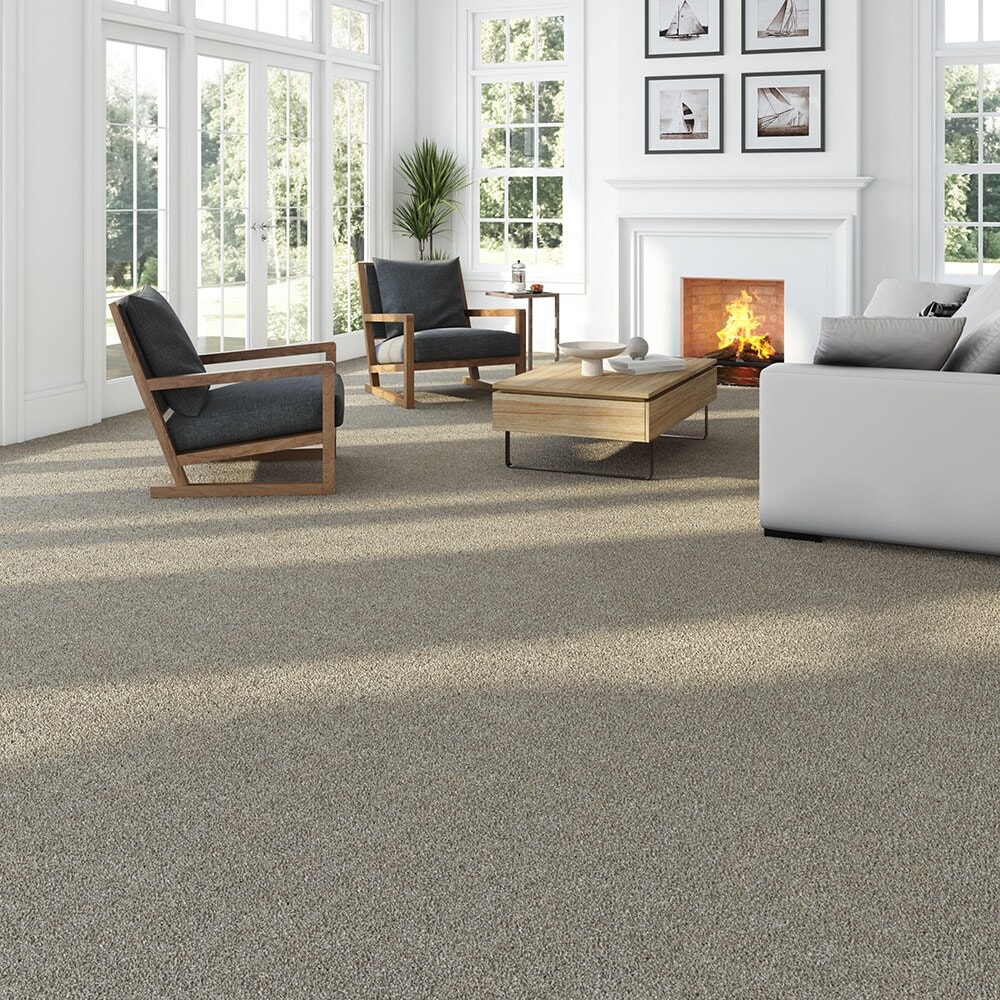 STAINMASTER STP50-12-L004 Carpet-Panel - View #3
