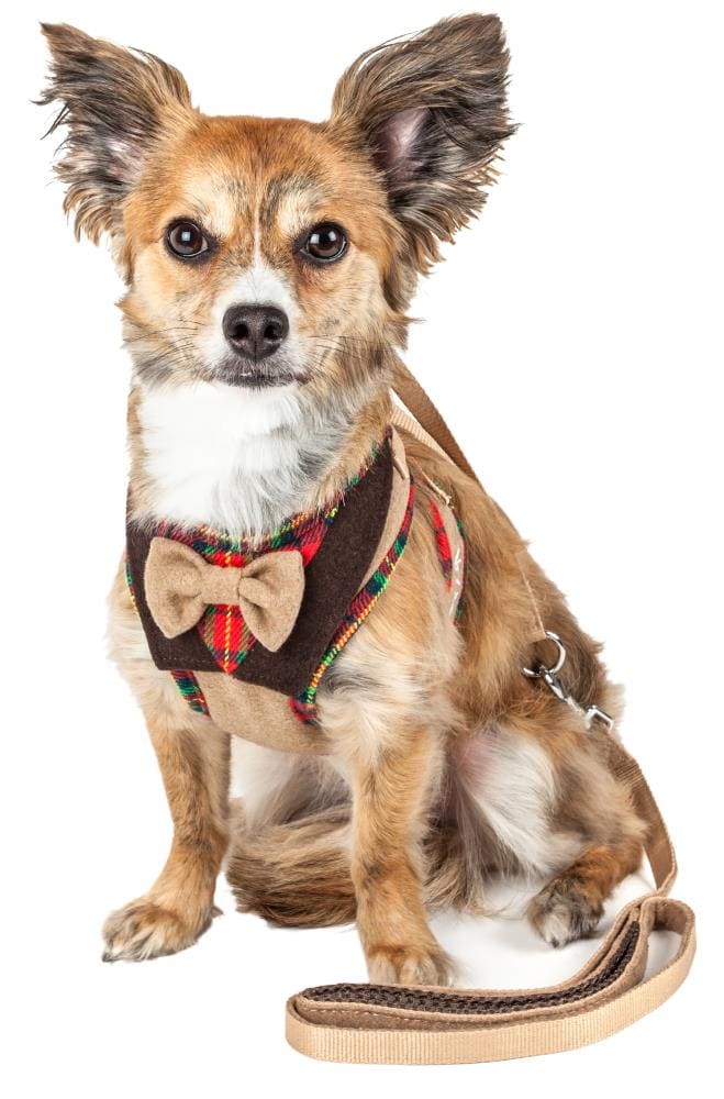 Pet Life Brown Dog Harness, Medium in the Pet Collars & Harnesses  department at