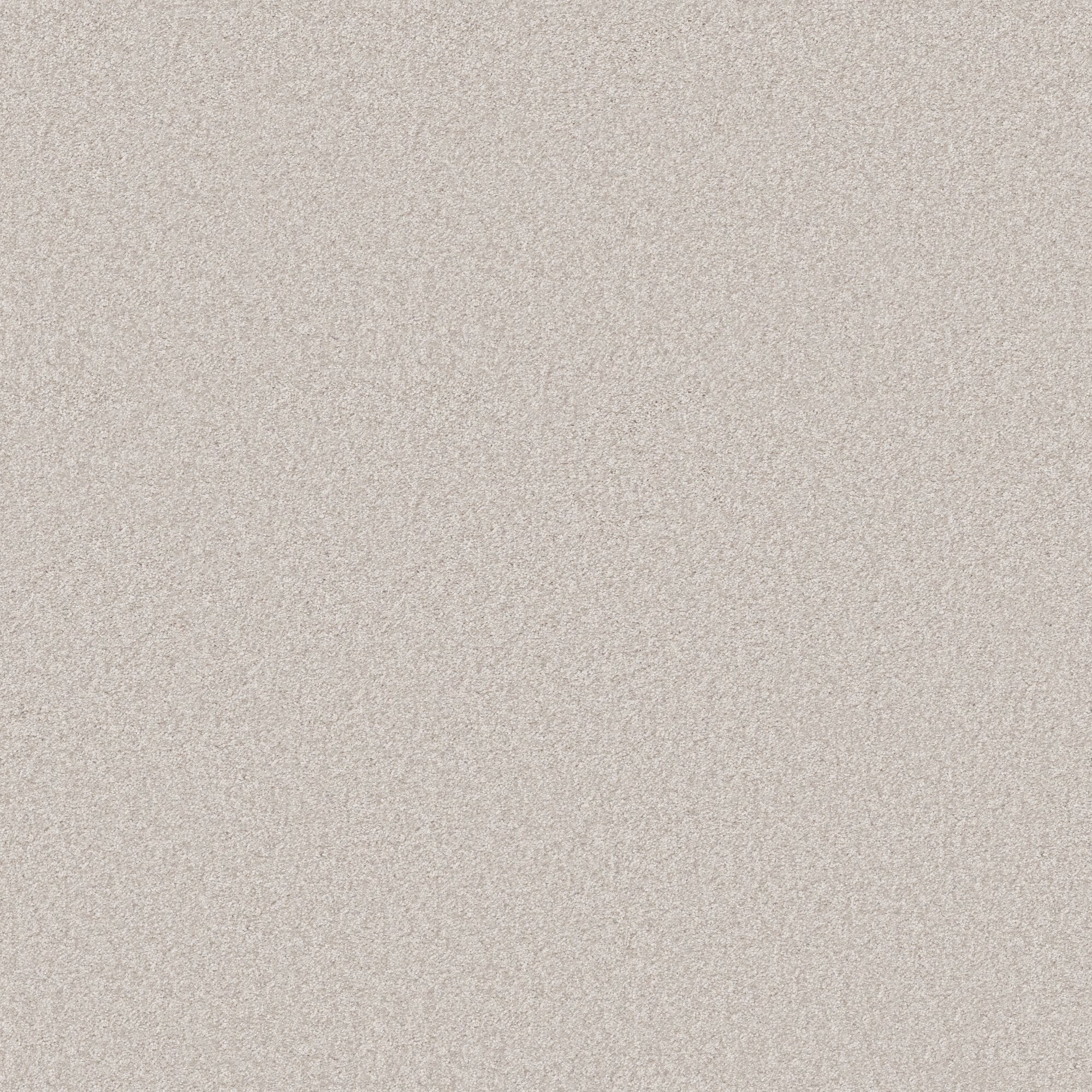 STAINMASTER 7L867 - 155 - SAMP (Sample) Effortless Appeal I Whitecap Off-white 43.9-oz sq yard Polyester Textured Indoor Carpet