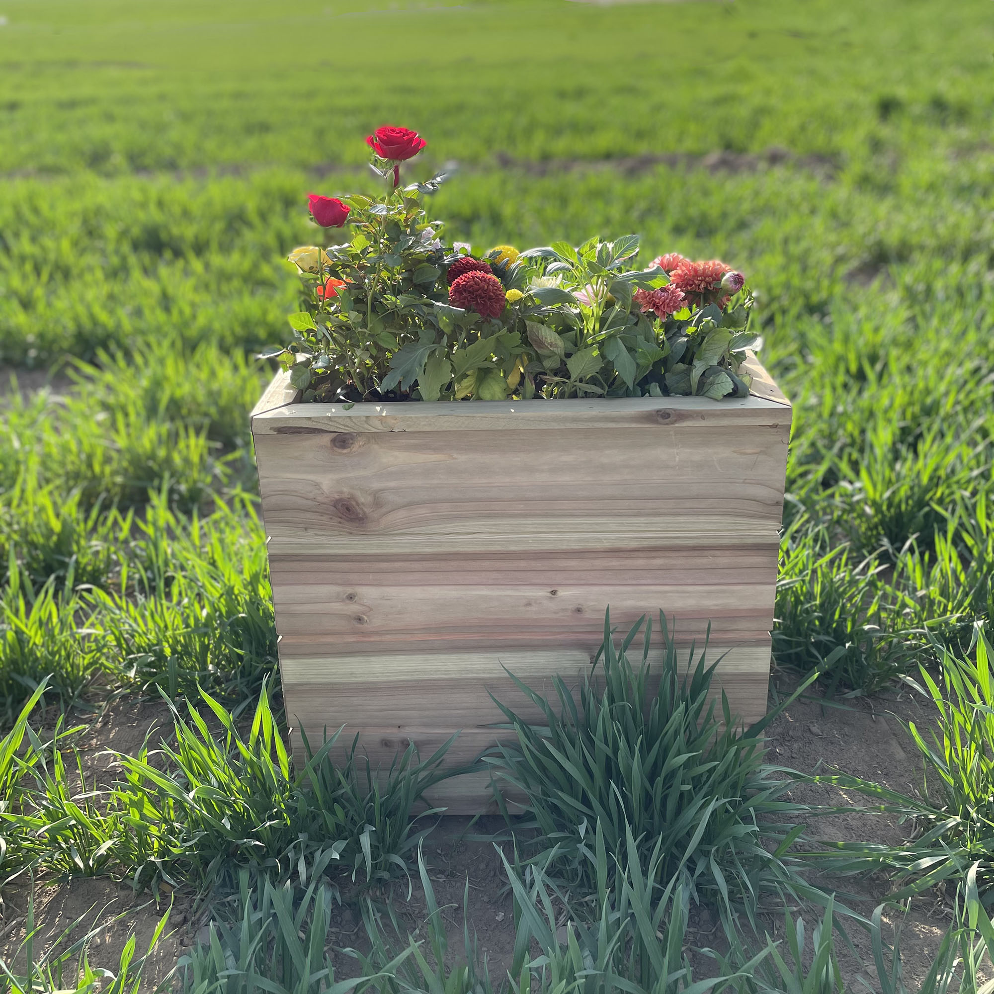 Style Selections TA2102-A Planter-Window-Box - View #4