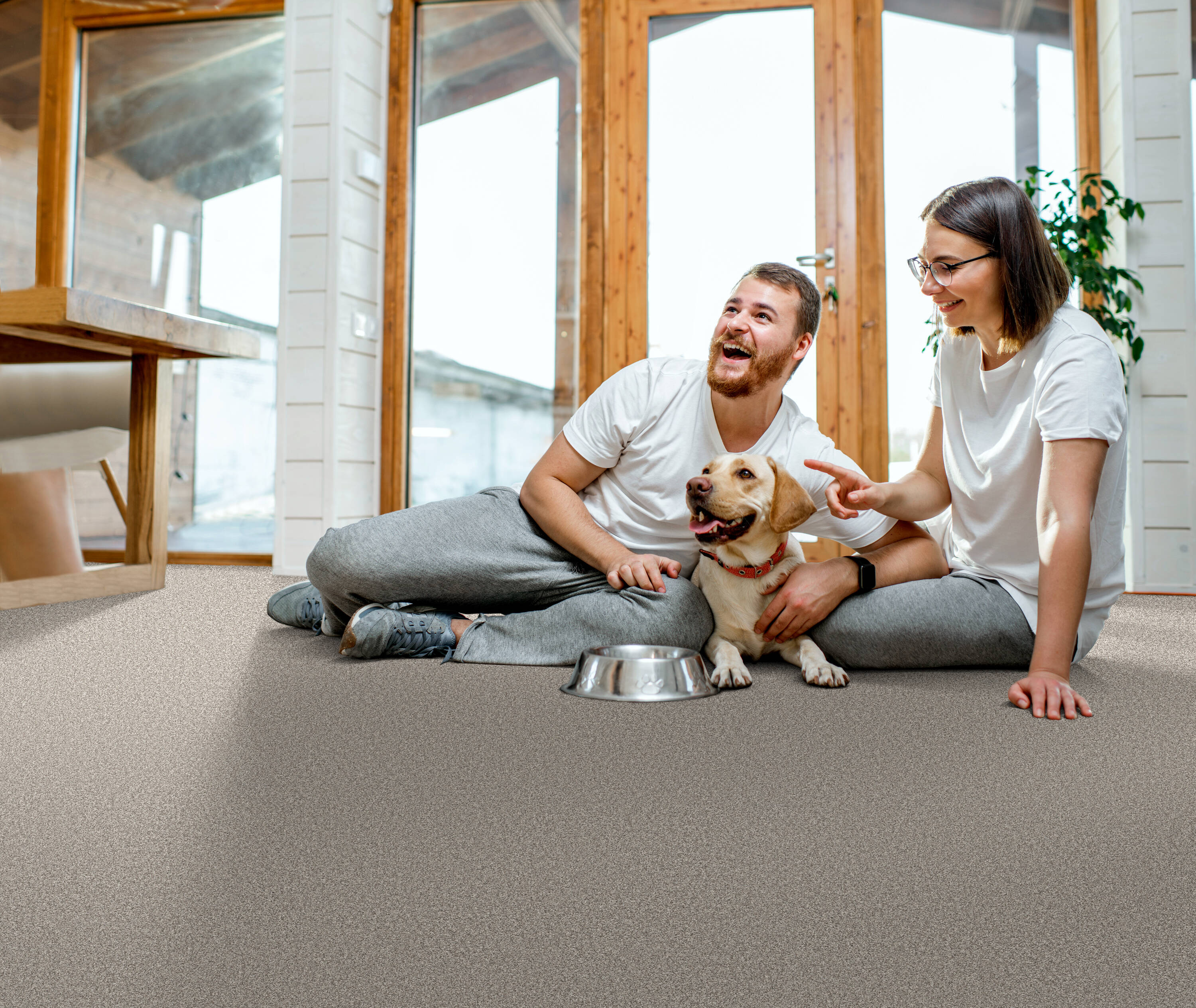 Pet Friendly Rugs For A Clean House - DodoWell - The Dodo