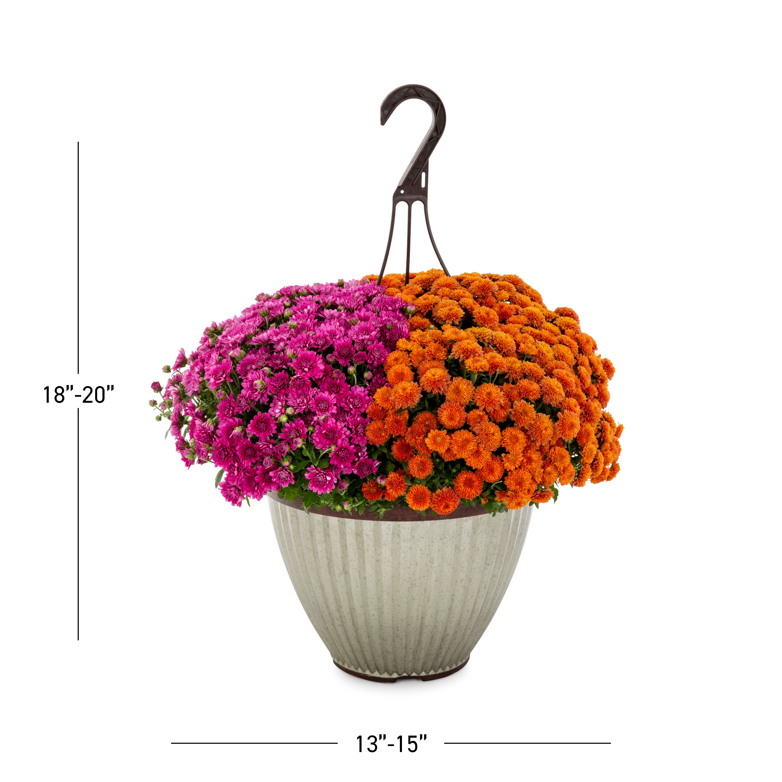 Lowe's 3733932 annuals - View #3