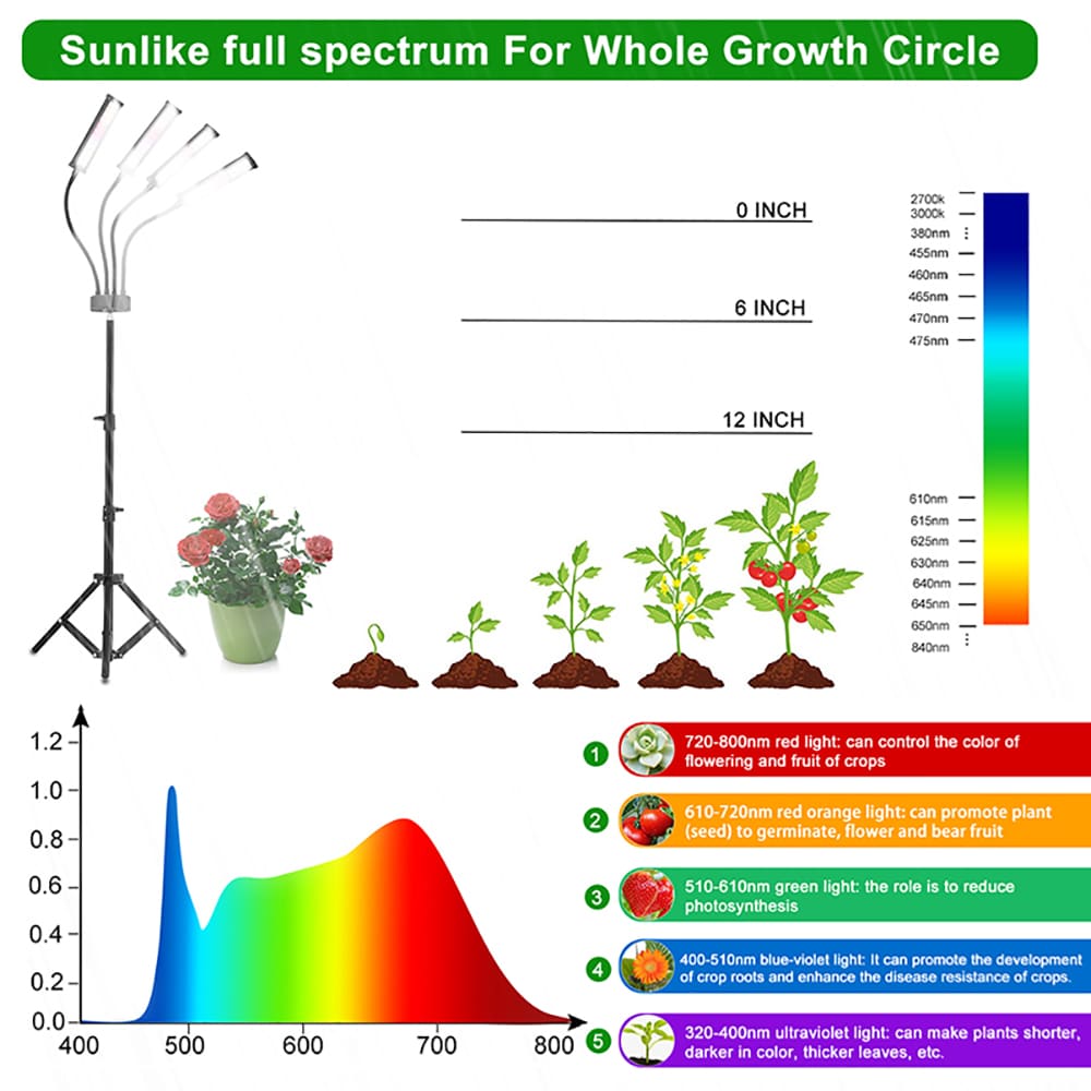 BANSA ROSE DOLW071250 Grow-Lights - View #6