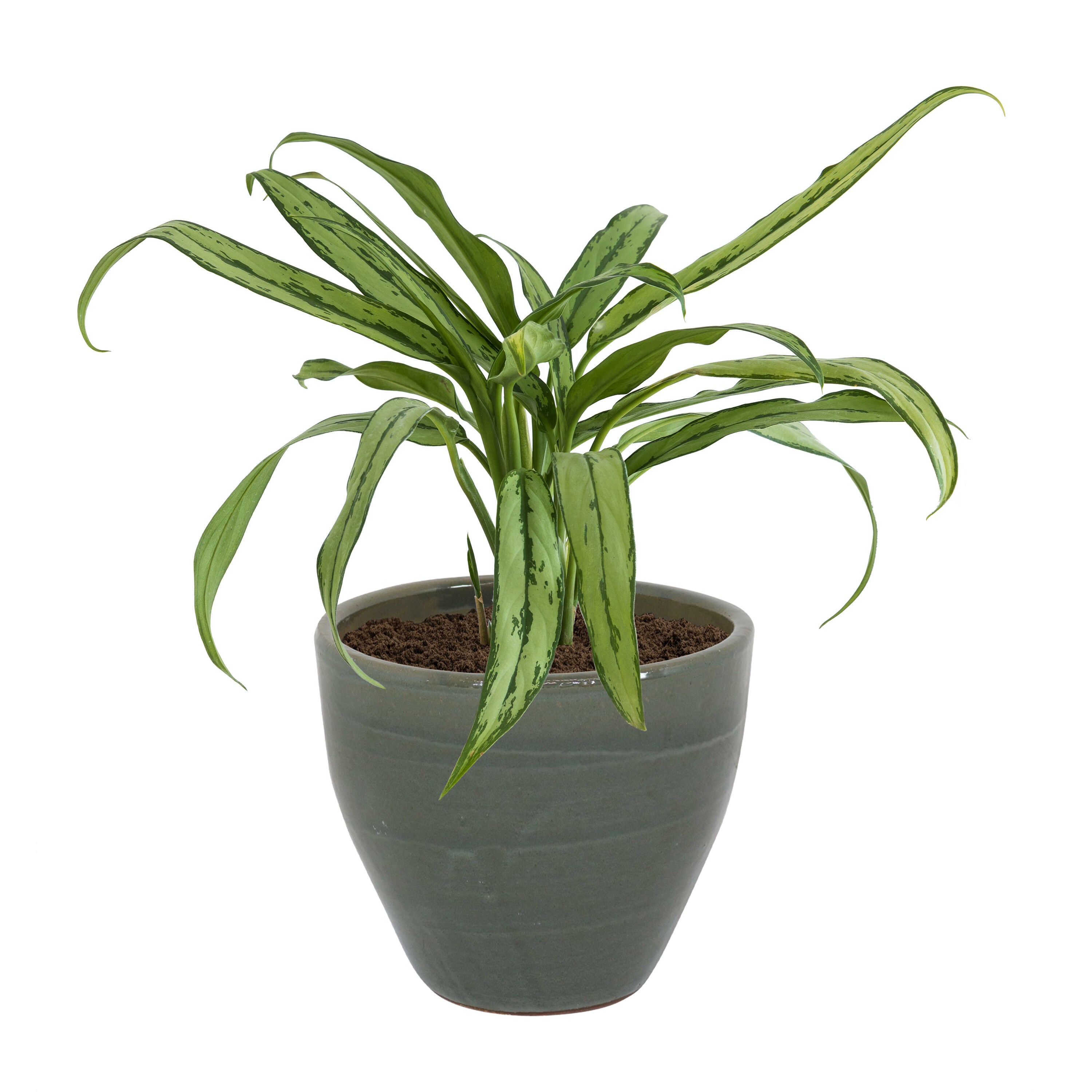 Sunnydaze Decor AP-077 Planter-Window-Box - View #12