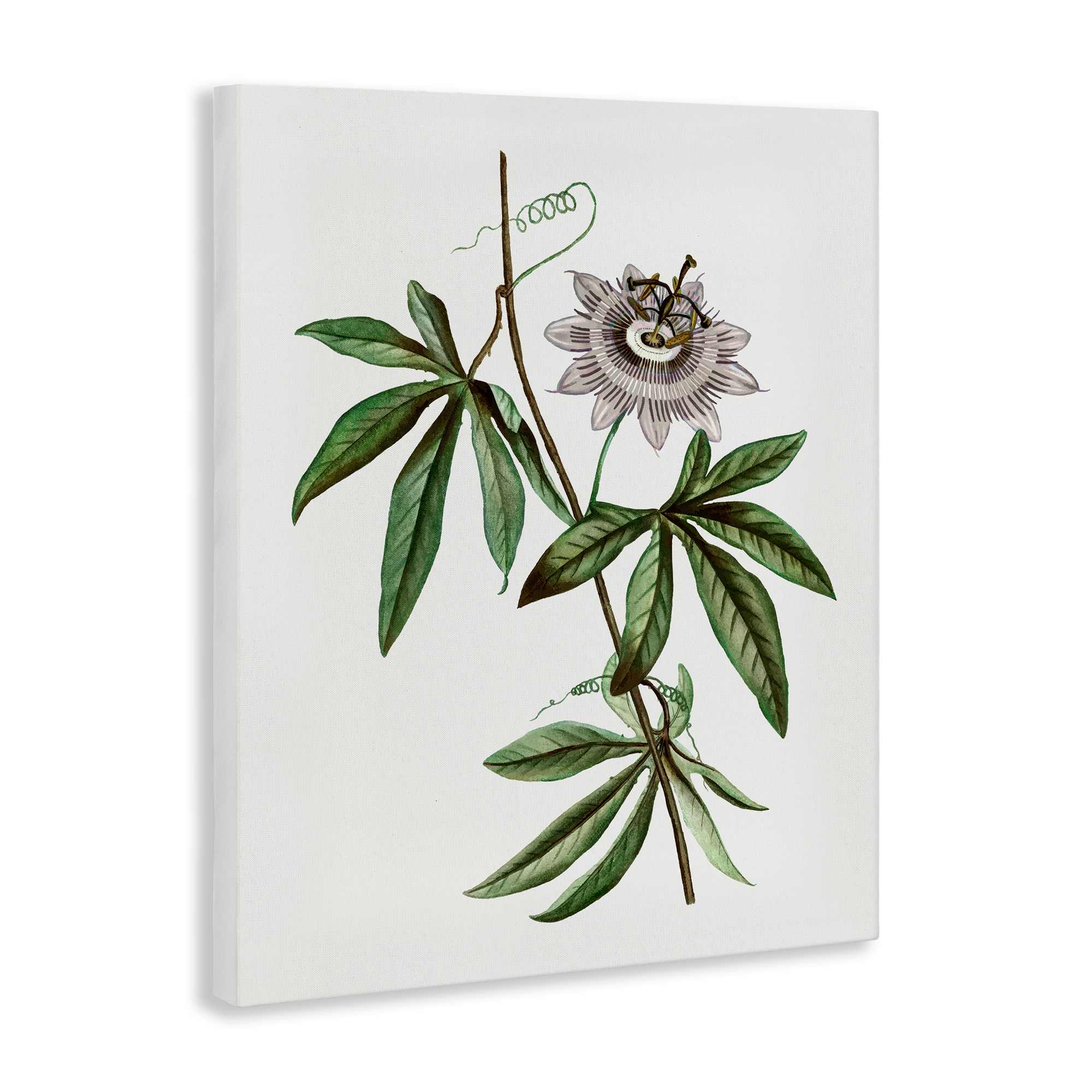 Stupell Industries BS-205-CN-16X20 Wall-Art - View #2