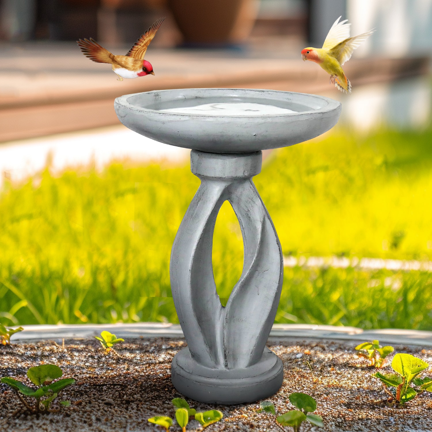 Watnature SJ30046 birdbaths - View #3