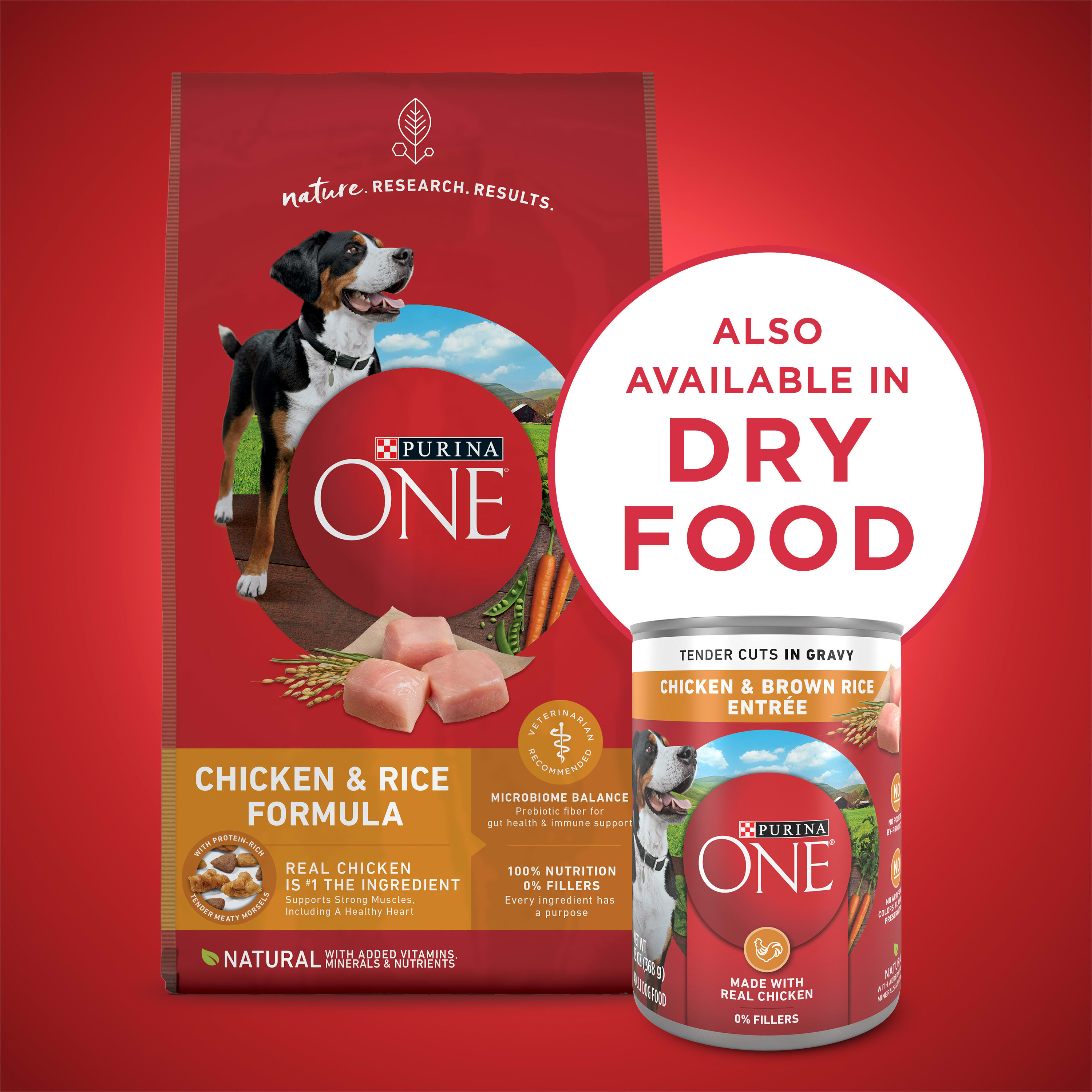 Purina One Mini senior pienso para perros adultos de raza mini - años 1