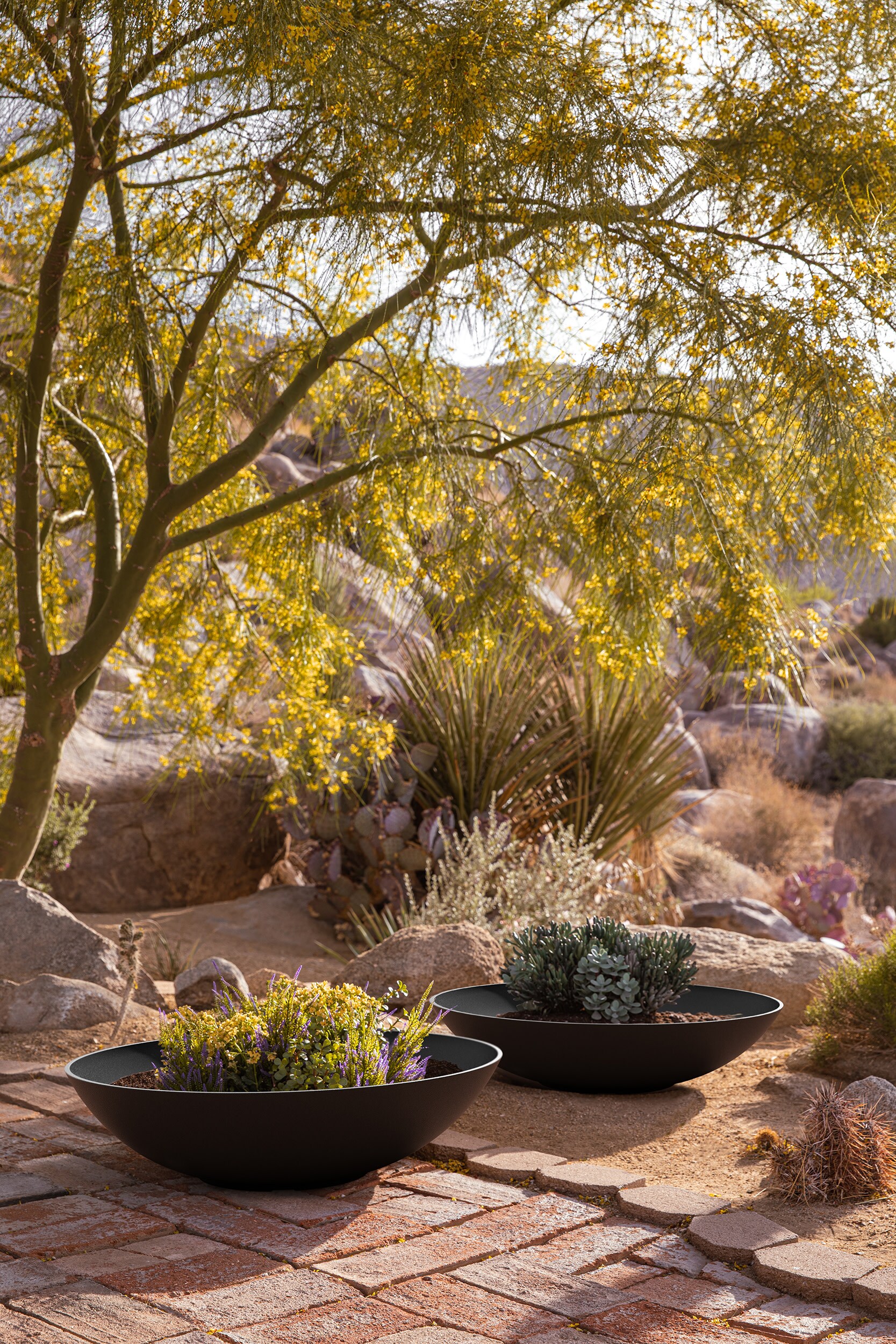 Modern Bowl Garden Planter