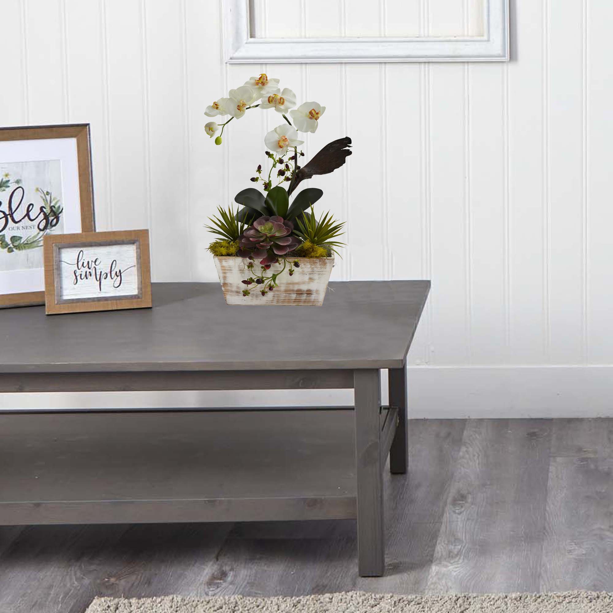 White Orchid and Multicolor Succulent in Whitewash Planter