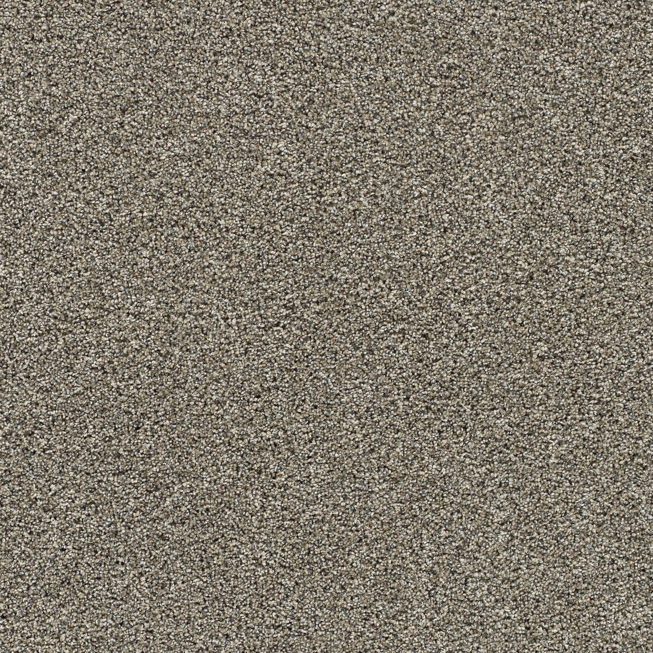 STAINMASTER PetProtect L3010-1001-1200-AB Fur Real I Bernard Tan 45-oz sq yard Solution-dyed polyester Textured Indoor Carpet