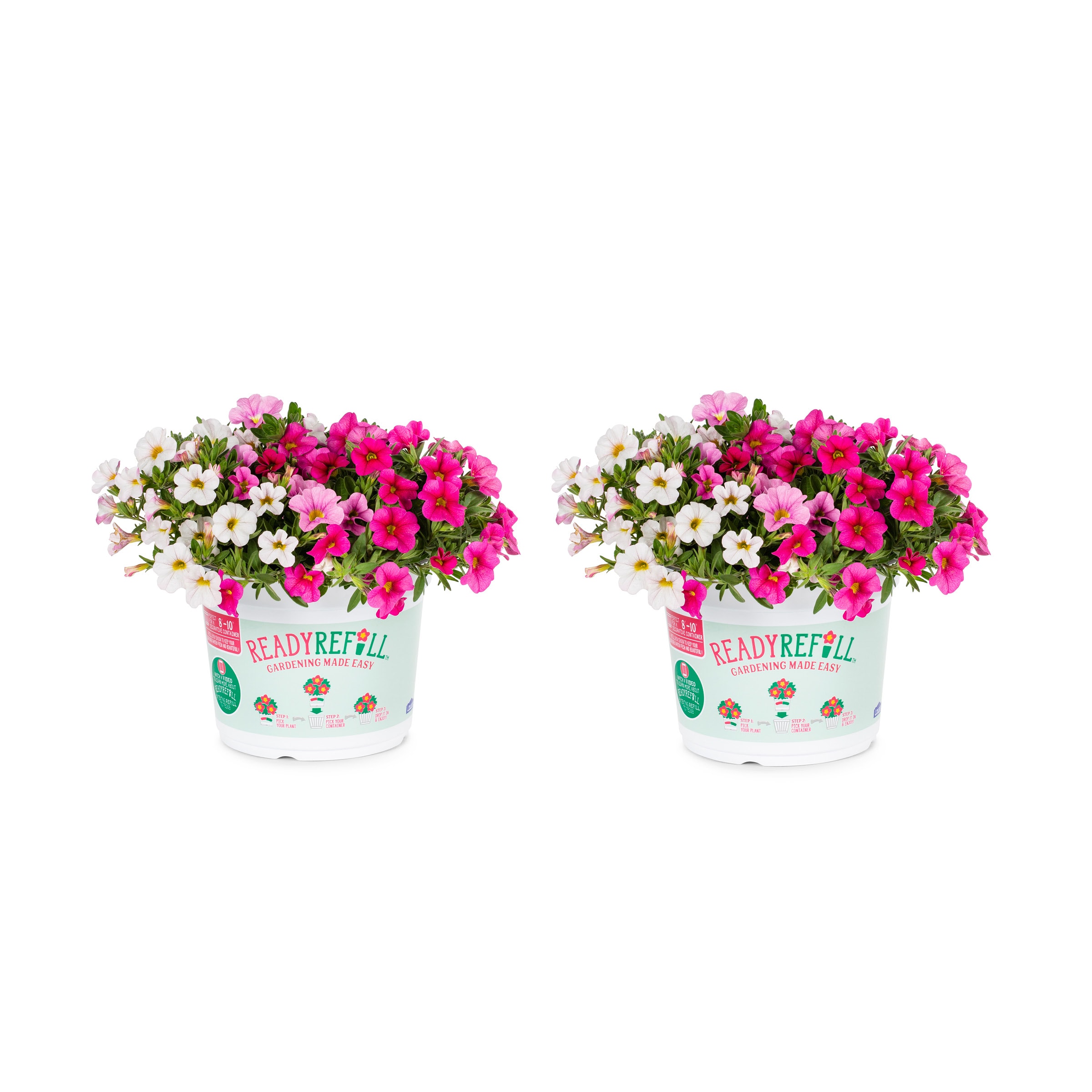 Ready Refill 4127 Multicolor Calibrachoa in 3 Quart(s) Pot 2 -Pack