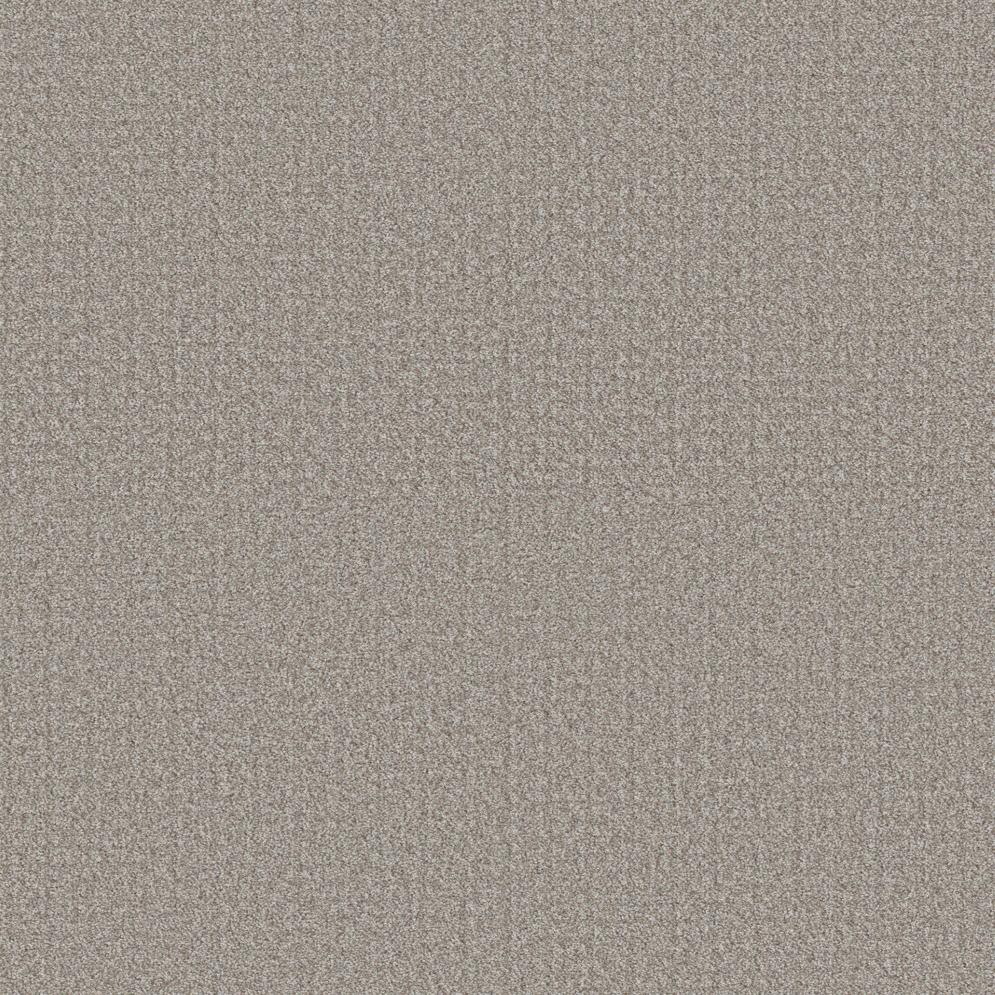 STAINMASTER PetProtect 7L932-114-SAMP (Sample) with LeakDefense Shake It Off Flax Brown 44-oz sq yard Polyester Pattern Indoor Carpet