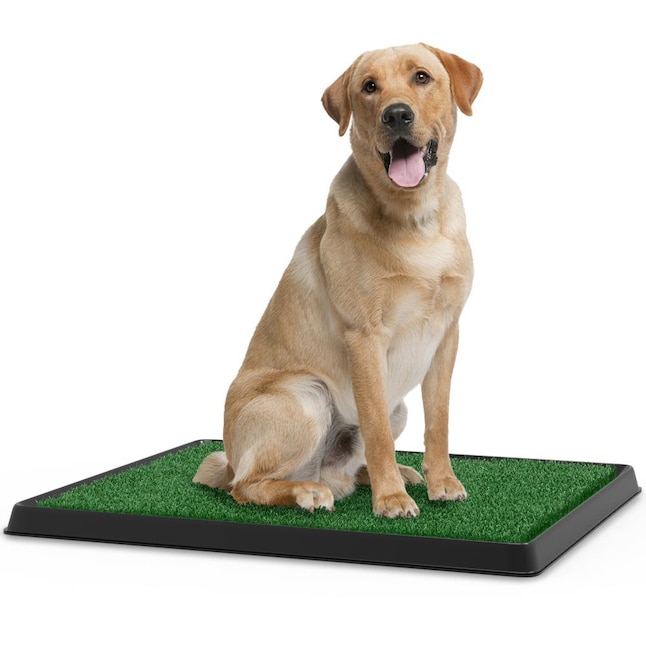Pet Pal 1.25-in x 25-in Reusable Plastic Artificial Grass Mat in the Puppy  Training Pads department at