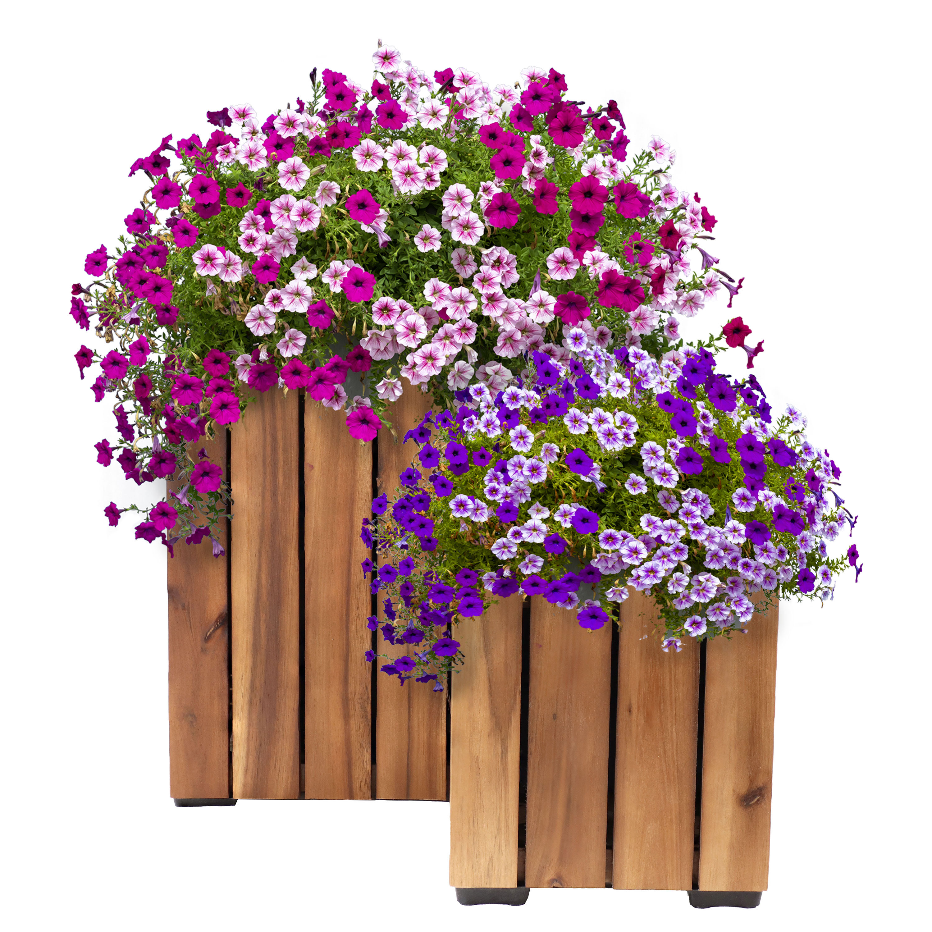 Sunnydaze Decor TAM-406 2 -Pack Square 10.5-in W x 12.5-in H x 10.5-in D Brown Wood Indoor/Outdoor Planter