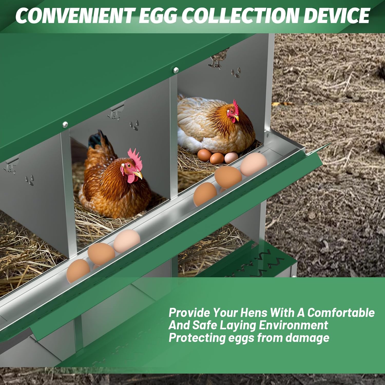 Qeetex GGL-PHO-348SBN54 Chicken-Coops-Rabbit-Hutches - View #7