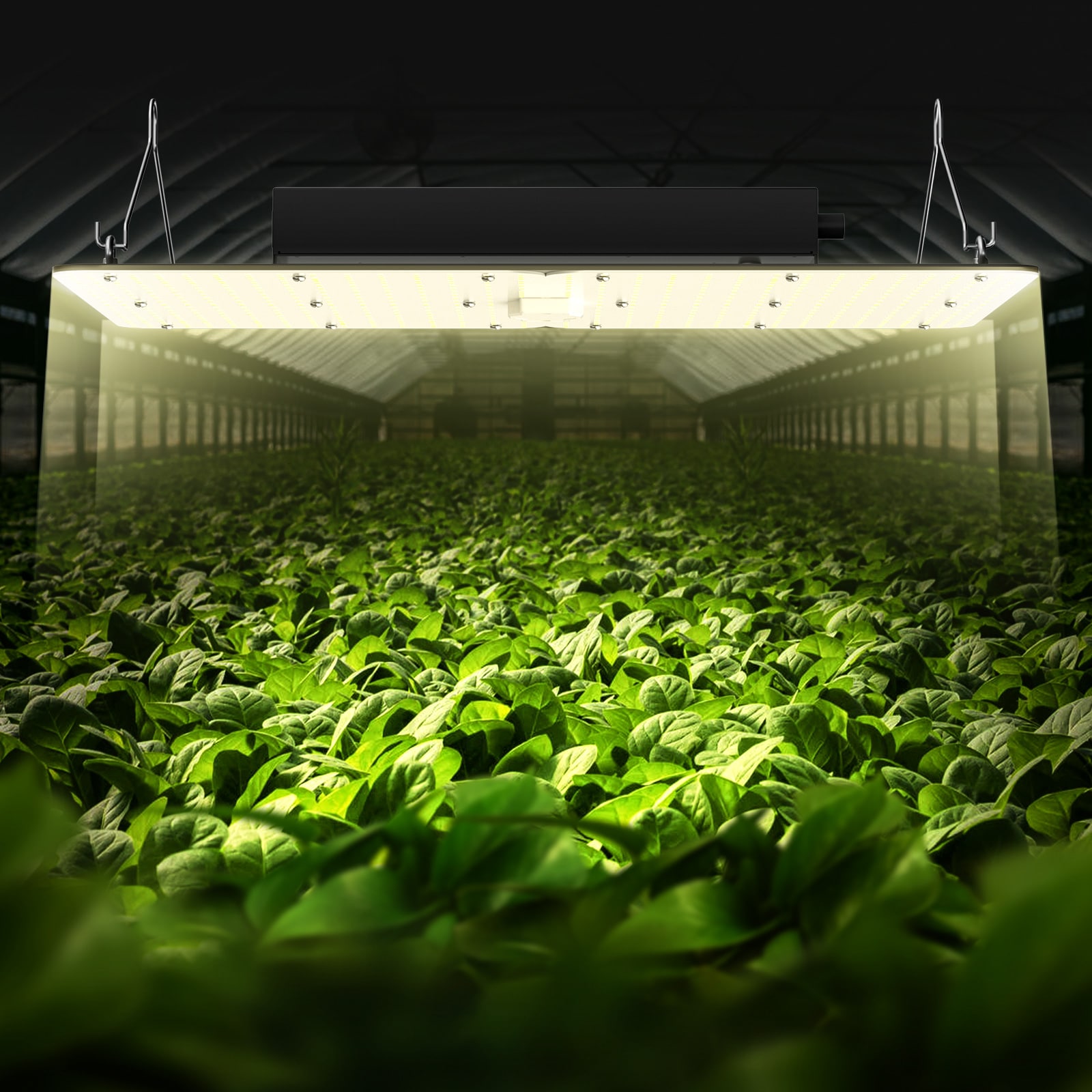 VEVOR LZB320W23110VJT6LV1 Grow-Lights - View #2