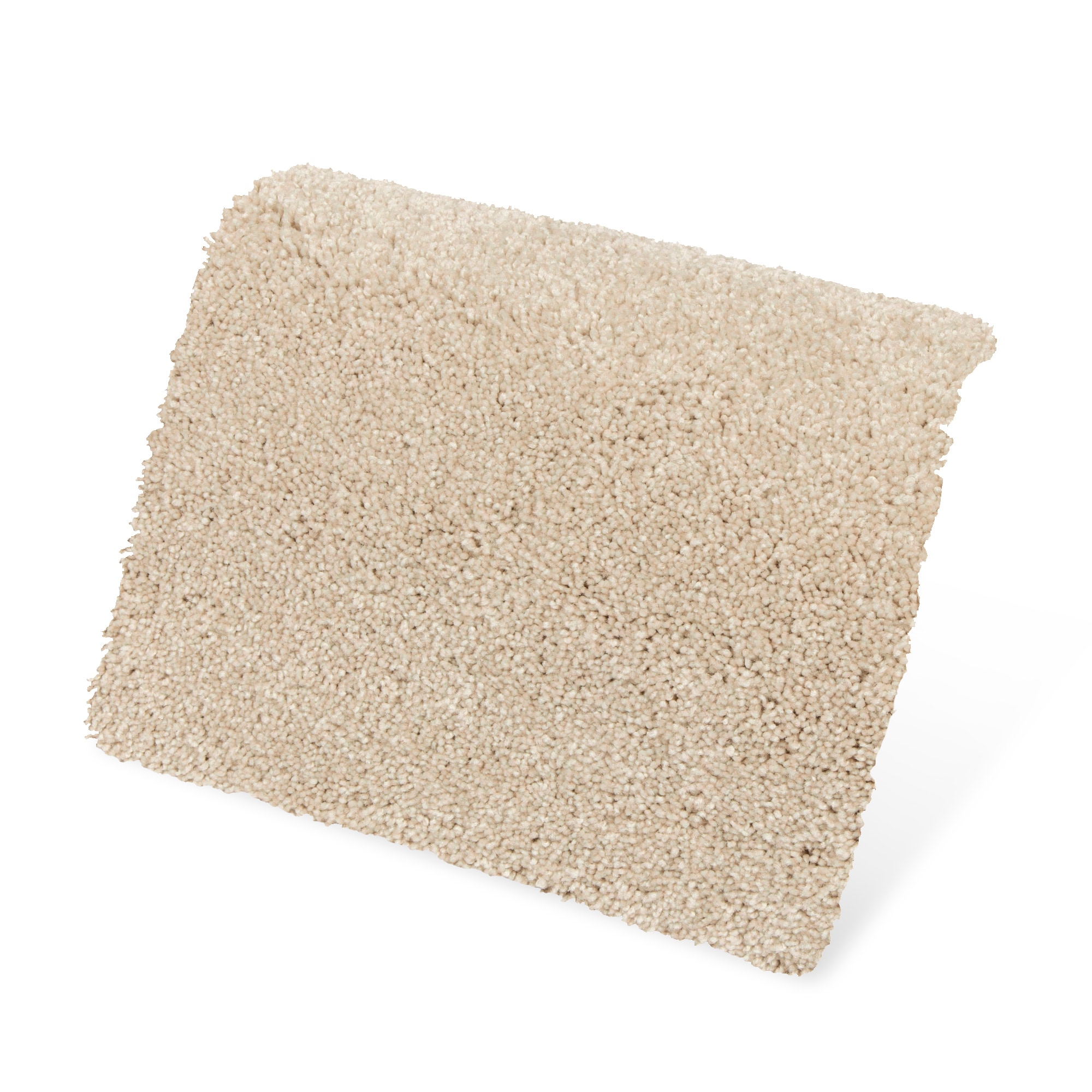 STAINMASTER PetProtect SS022-L011-0808 Carpet-Samples - View #3