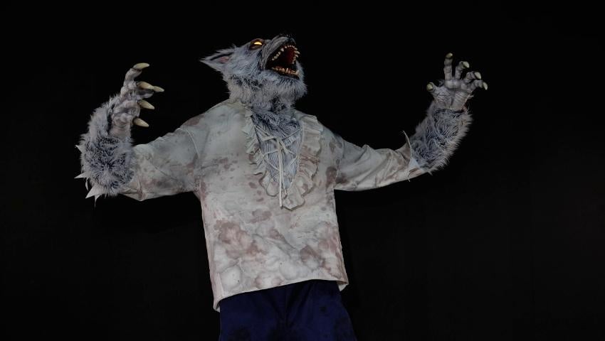 A thumbnail for the video
