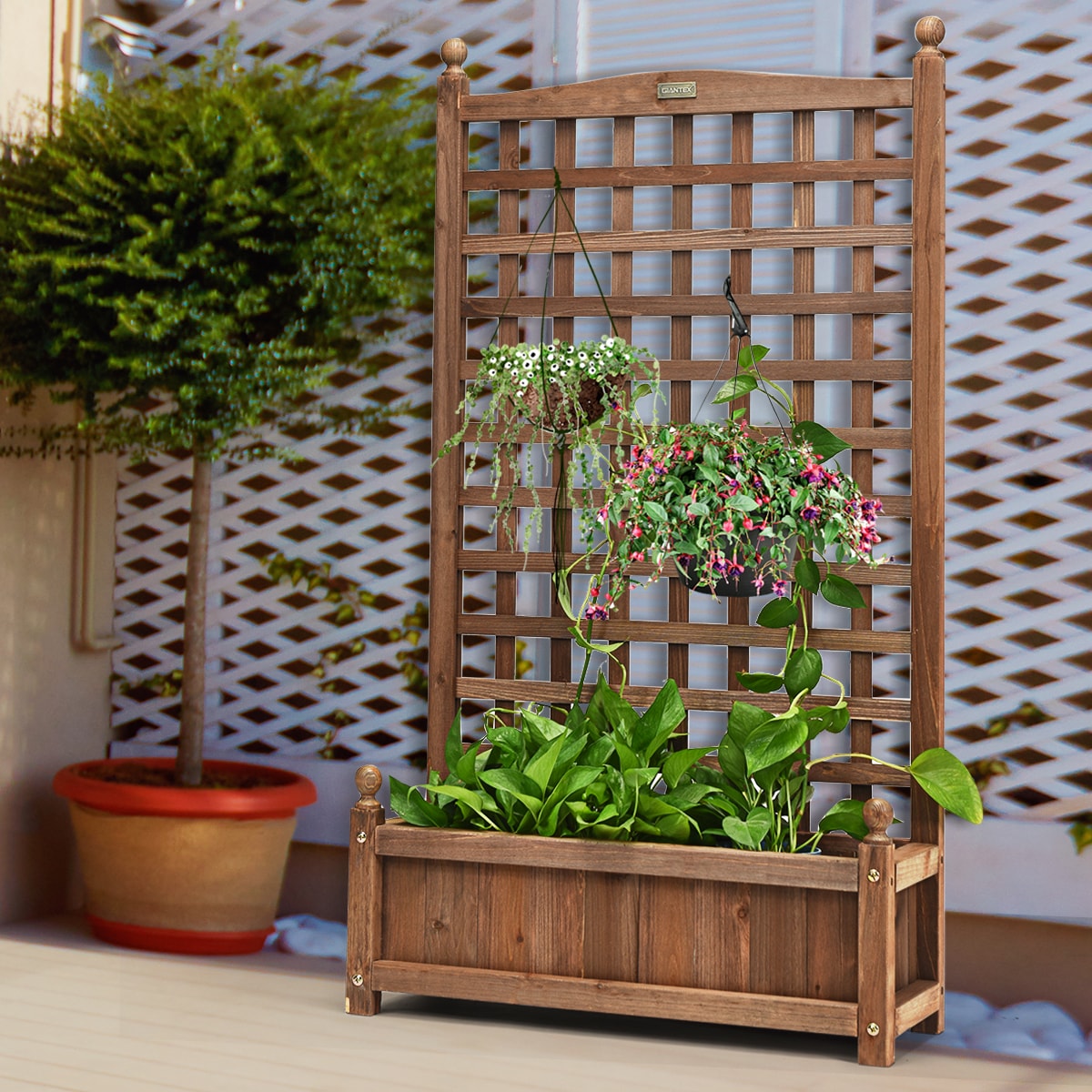 Shop SOGA 2X 103cm 4-Bar Plant Frame Stand Trellis Vegetable Flower Herbs  Outdoor Vine Support Garden Rack with Rings - Dick Smith