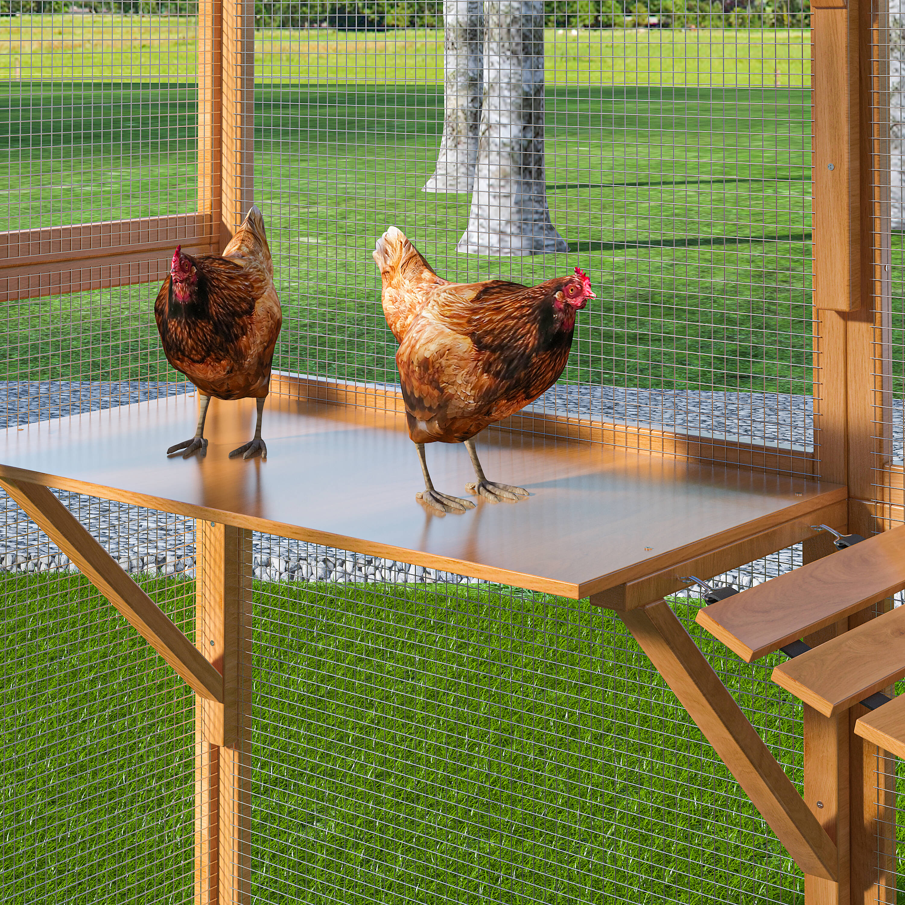 MIDHAM KF150158-07+08 Chicken-Coops-Rabbit-Hutches - View #8
