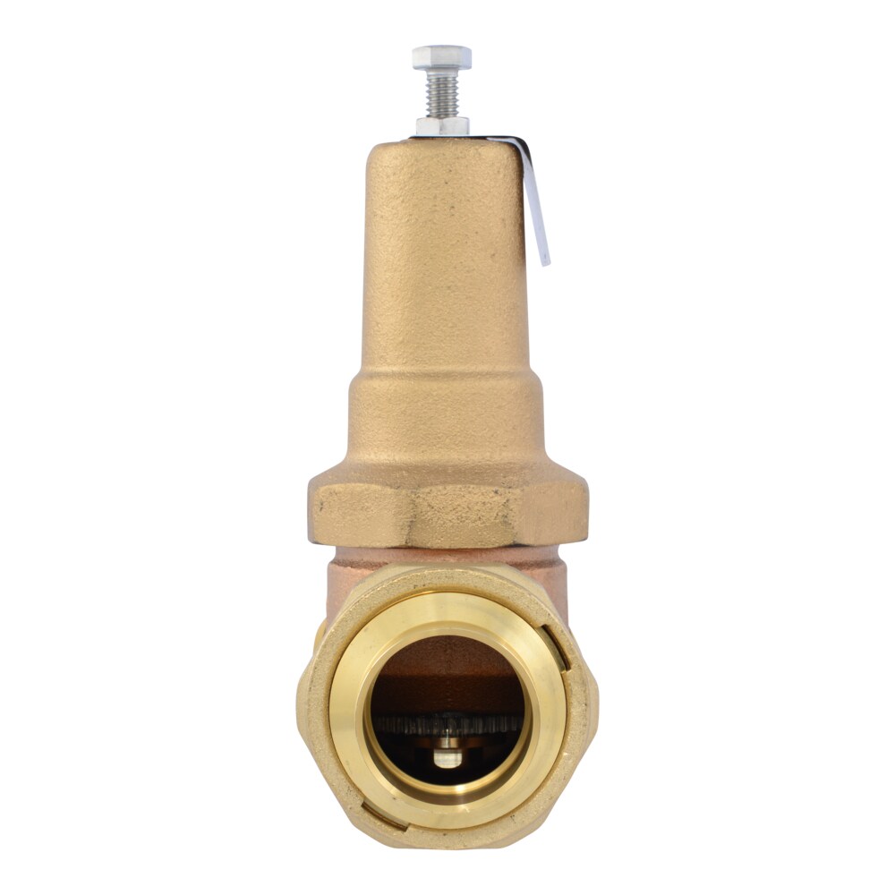 Cash Acme PVA41M-DUSW-60 Pressure-Relief-Valves-Regulators - View #2