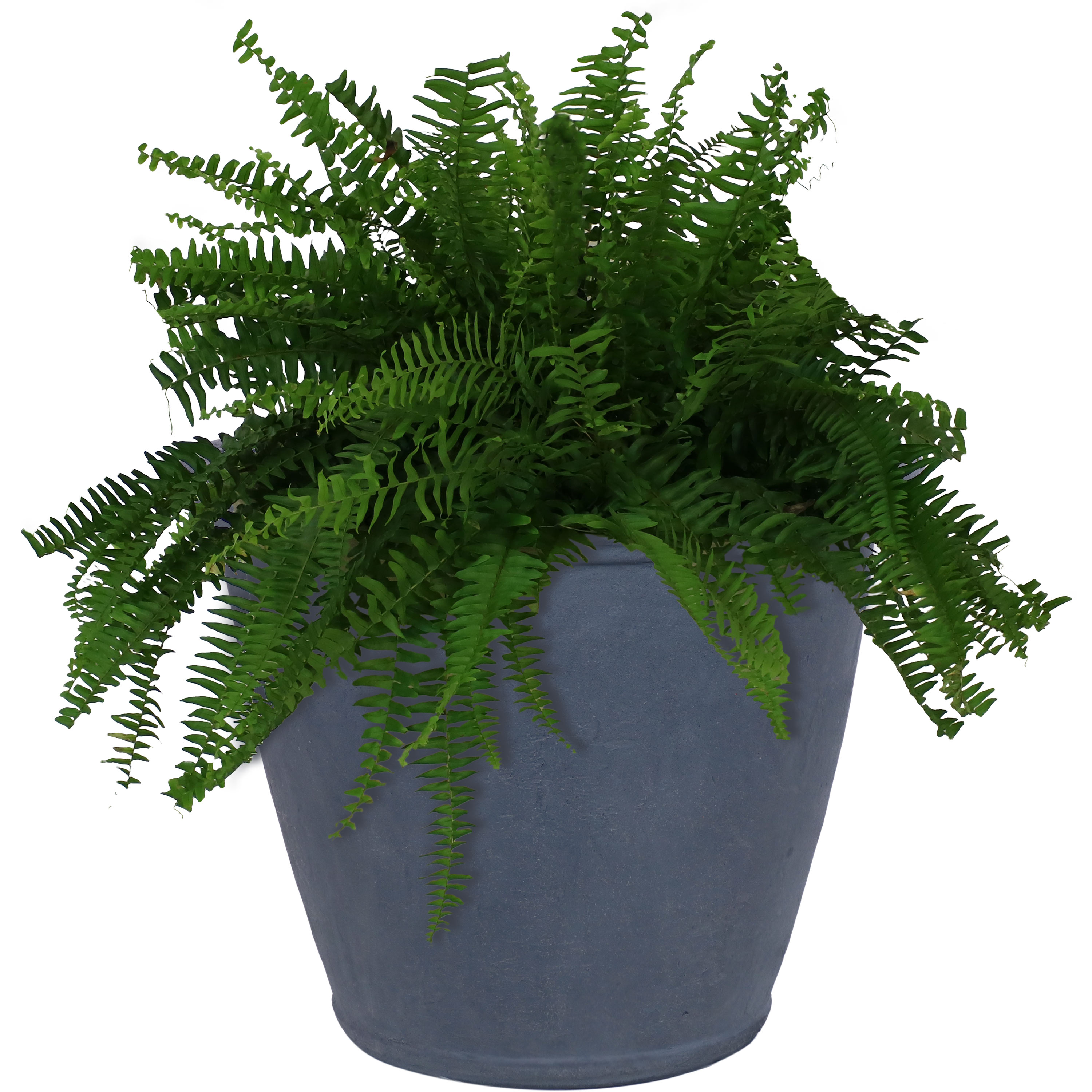 Sunnydaze Decor DG-758 Round 14.0-in W x 20-in H x 14-in D Gray Fiberglass Indoor/Outdoor Planter