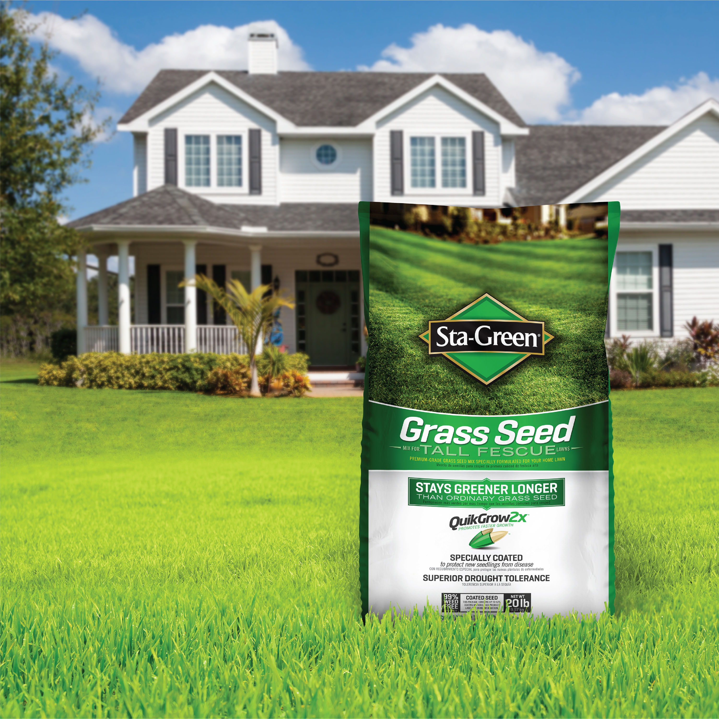 Sta-Green 20-lb Tall Fescue Grass Seed 2149620293 at Lowes.com