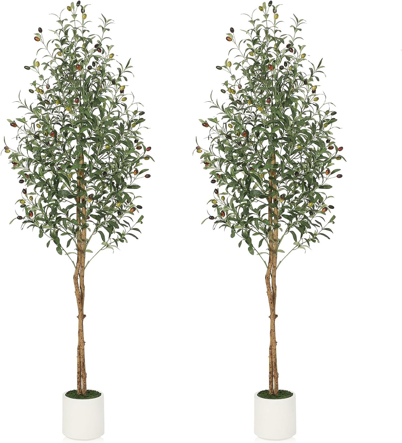 Qeetex DHZ-PHO-34M4HPSK Artificial Olive Trees 6Ft Tall Faux Olive Trees with 2 Natural Wood Trunks and Lifelike Fruits Fake Tree with White Planter Large Olive Plants for Indoor Home Decor Set of 2
