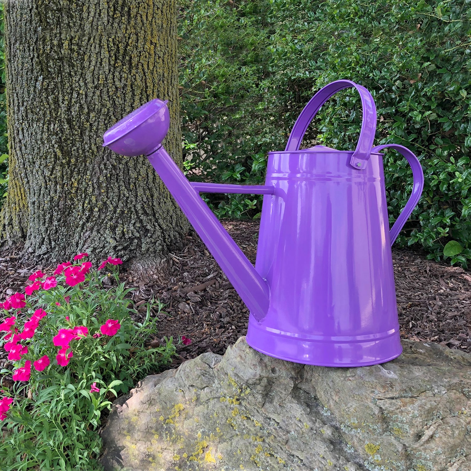  36-5180V Watering-Cans - View #3