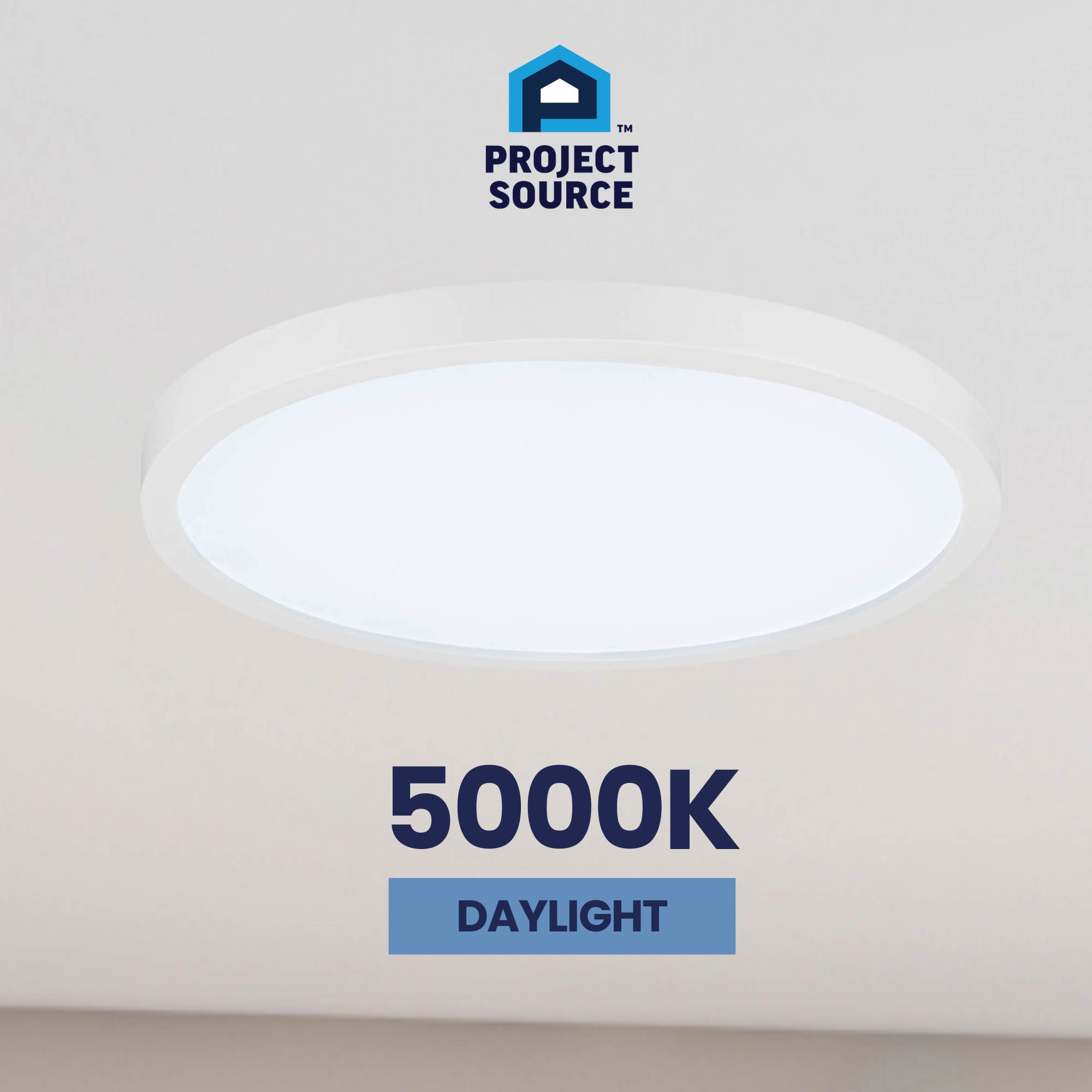 Project Source 43544 flushmounts - View #13