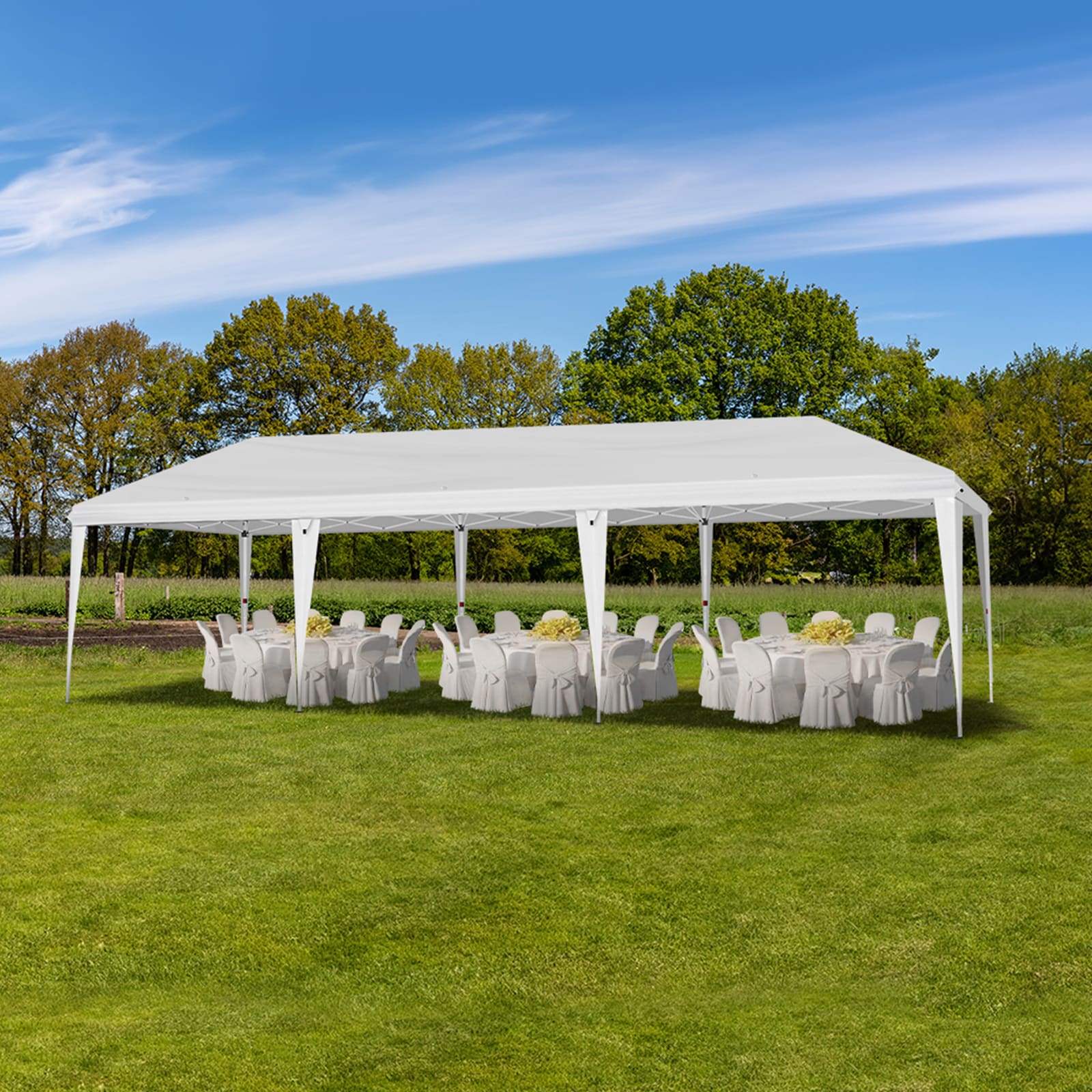 Winado LO1G58000362 Canopies-Sl - View #9