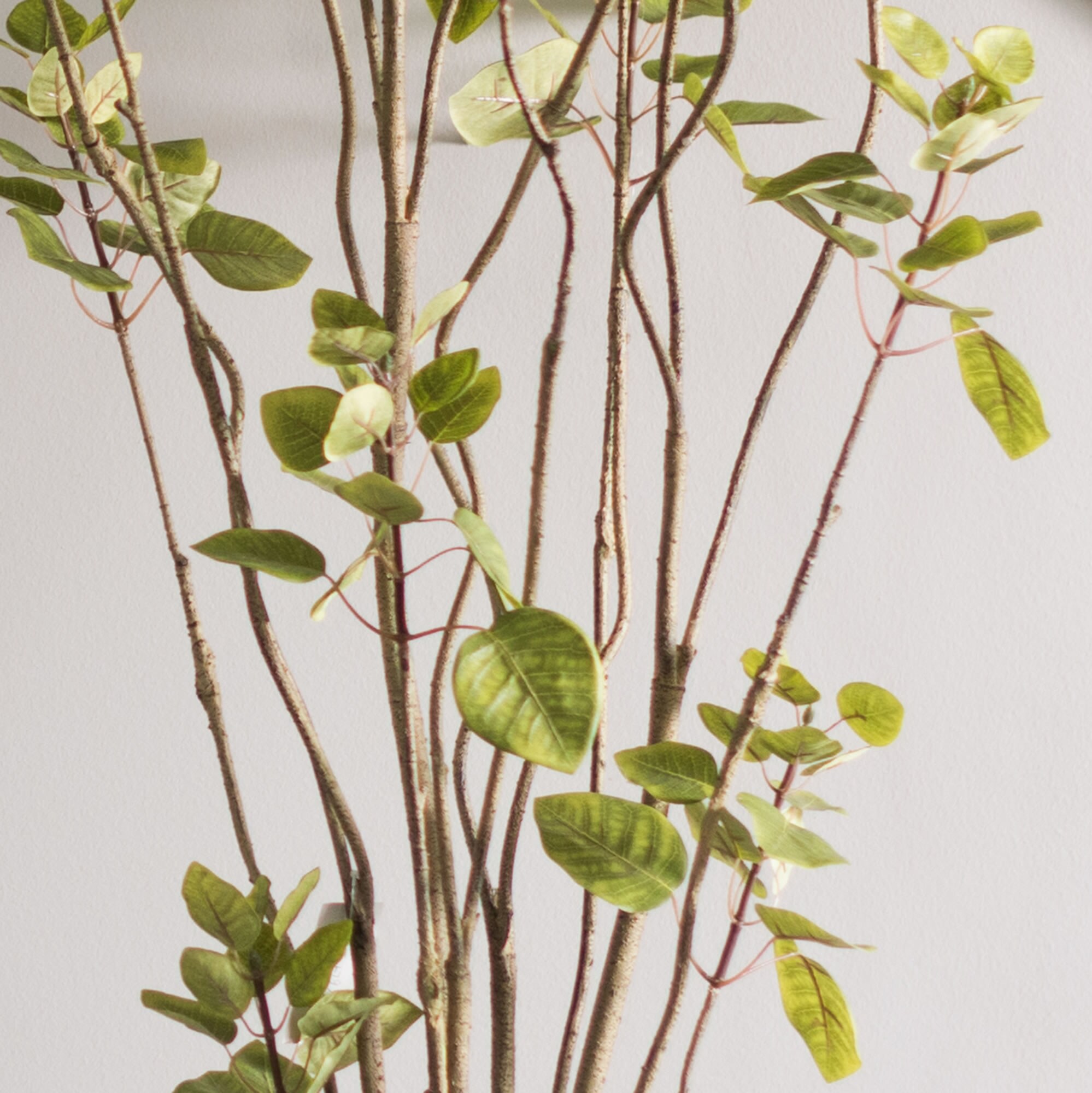 Vickerman TB170148 Artificial-Plants-Trees - View #6