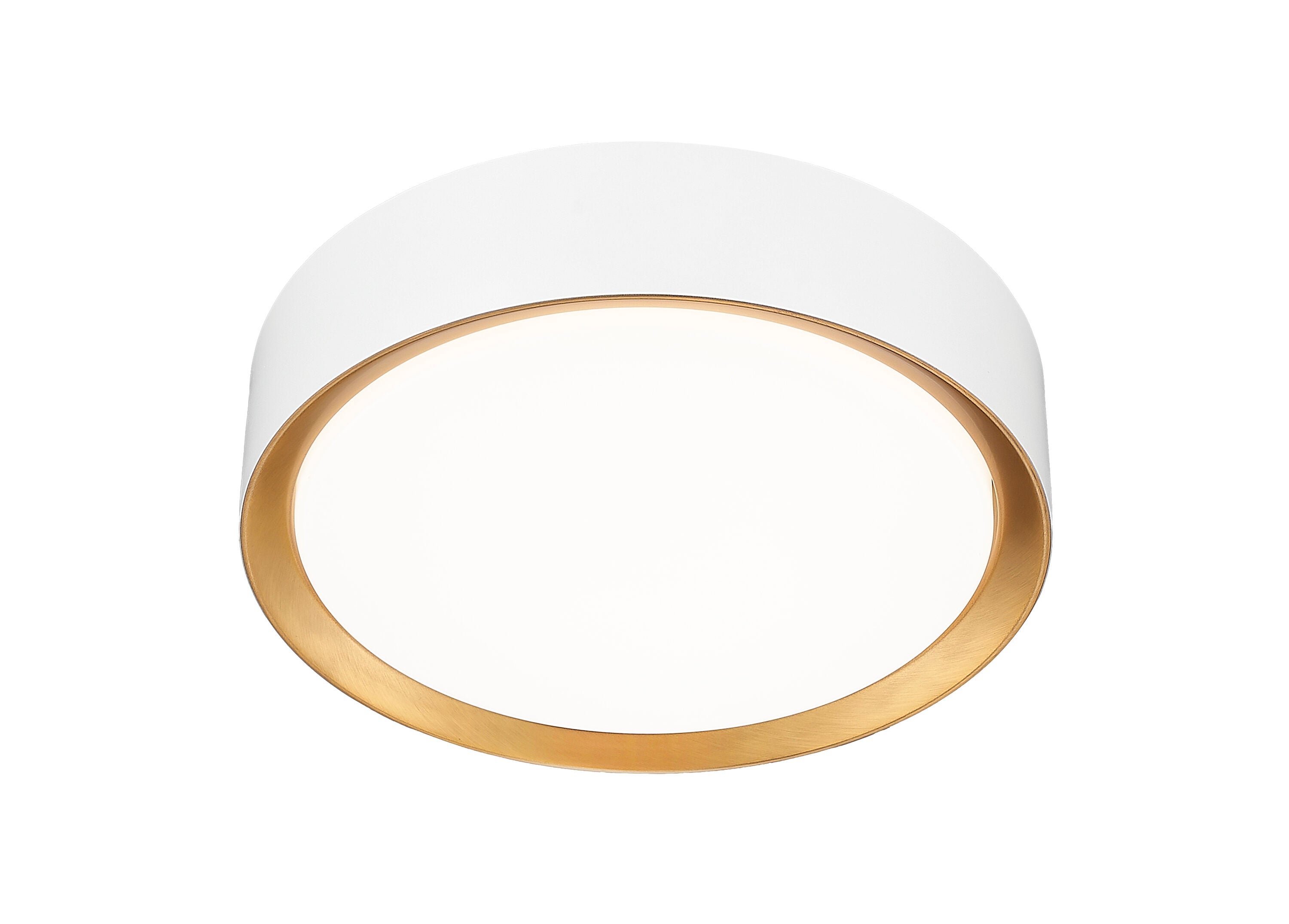 Z-Lite 1014F12-MW-MGLD-LED flushmounts - View #5