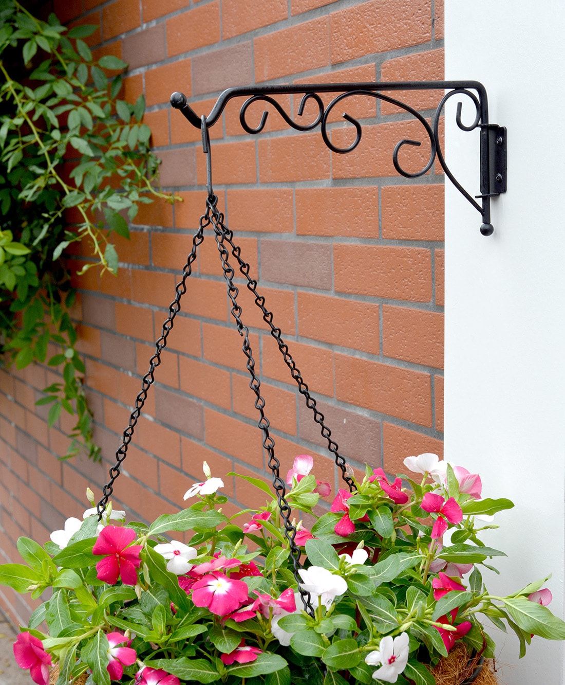 Style Selections 12.6-in Black Steel Plant Hook(s) in the Plant