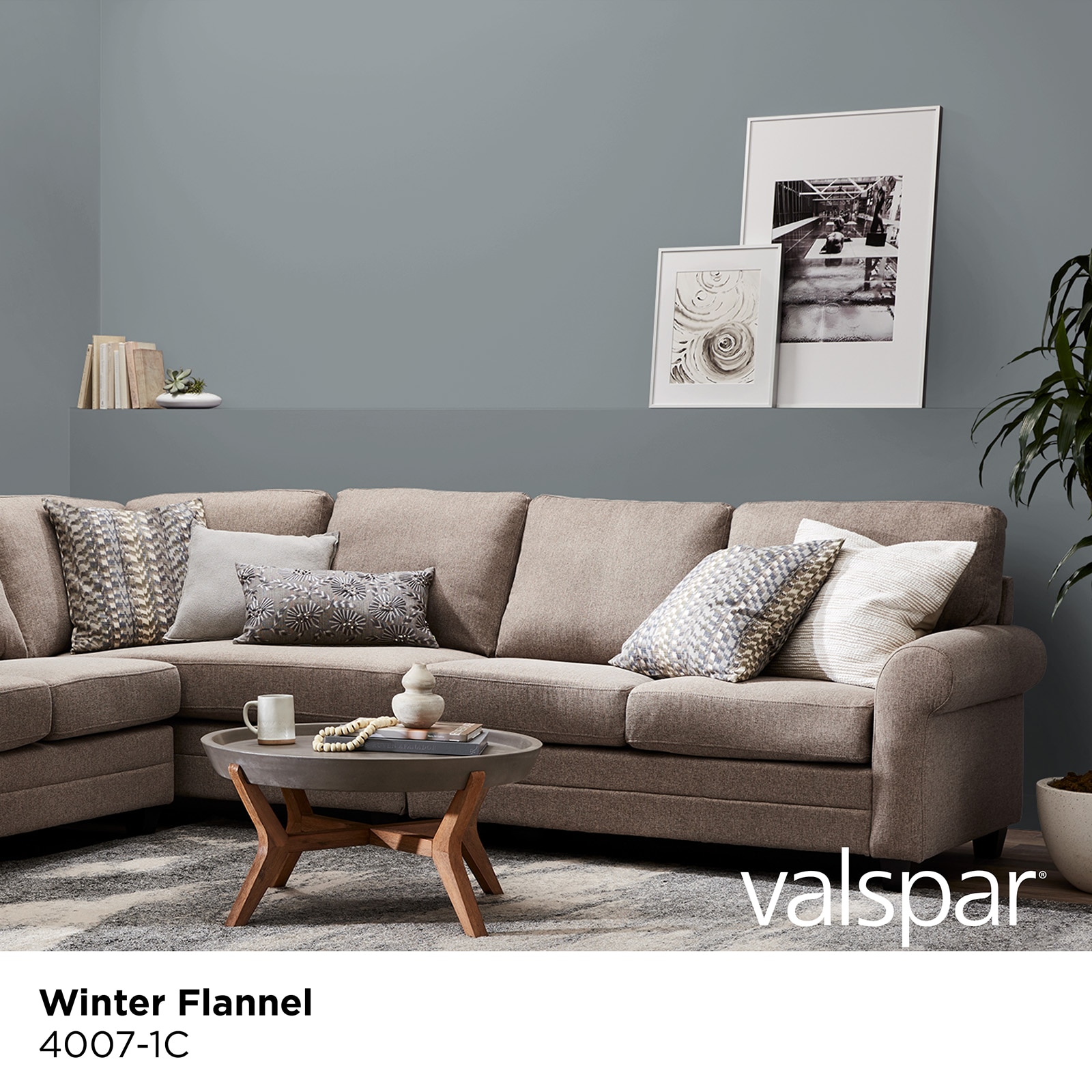 Valspar 4007-1C-2916565 Int-Ext-Paint - View #2
