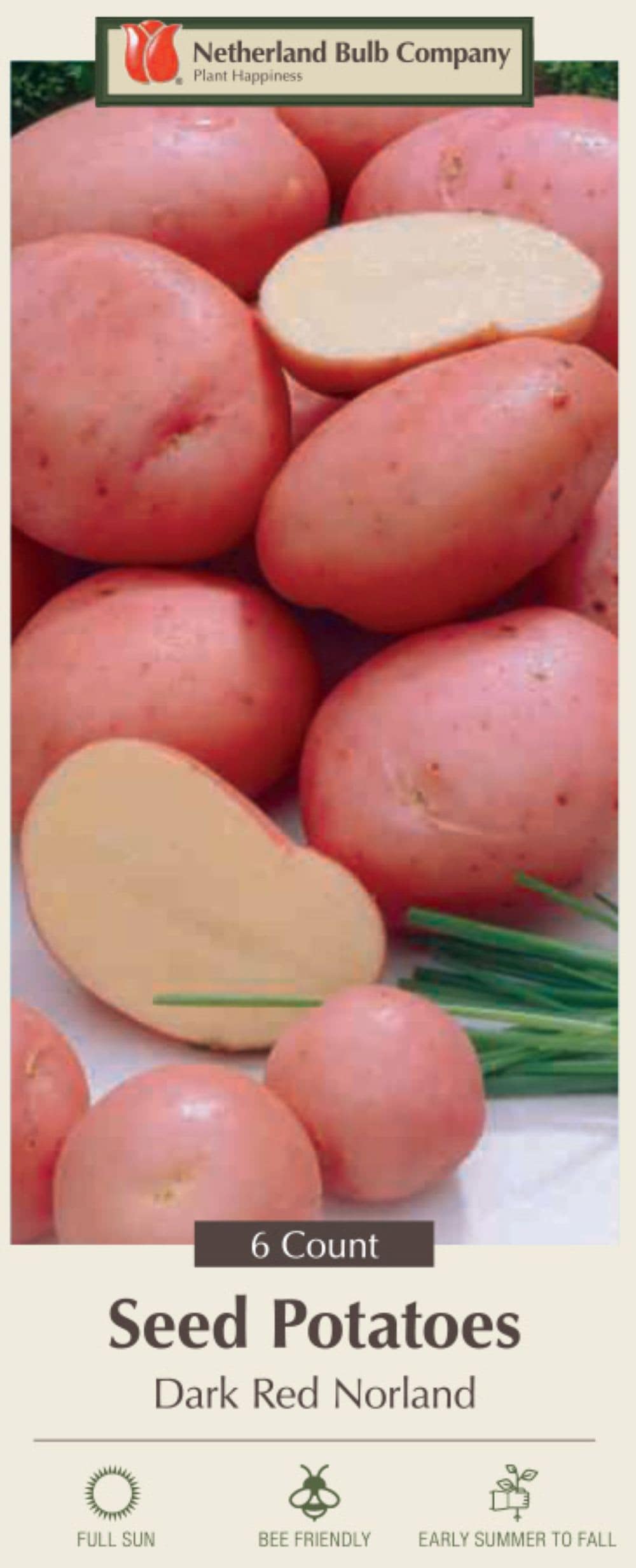 Hirt's Gardens - Red Norland Seed Potato - 6 Tubers - Heirloom - Great Taste