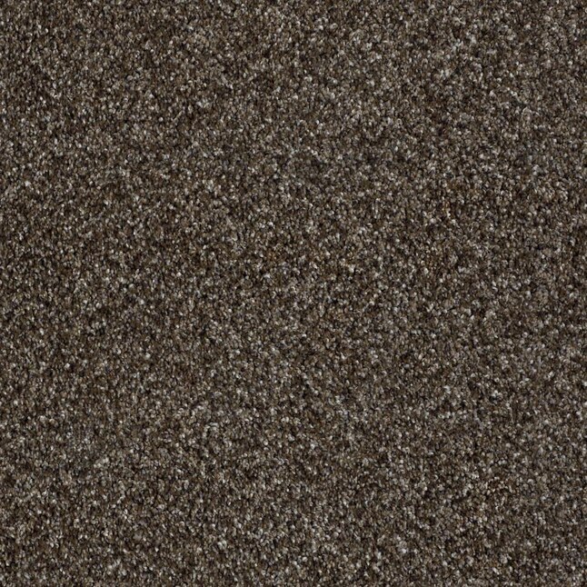 Shaw Wide Width Statuette III 12ft-Mystic River Mystic River Textured Carpet Sample (Interior) Shaw Wide Width Statuette III 12ft-Mystic River Mystic River Textured Carpet Sample (Interior)