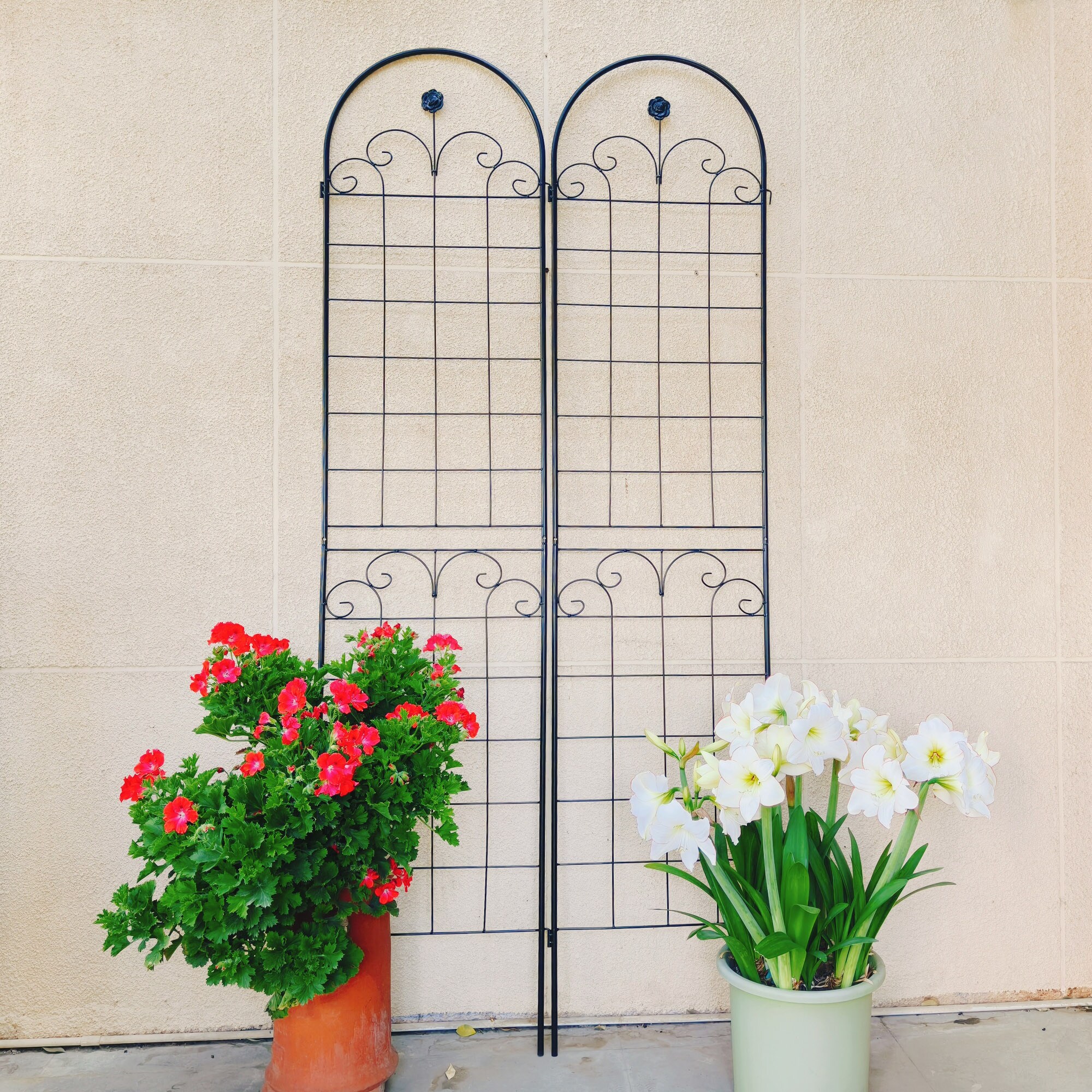 Tatayosi P-W158681065 Garden-Trellis - View #16