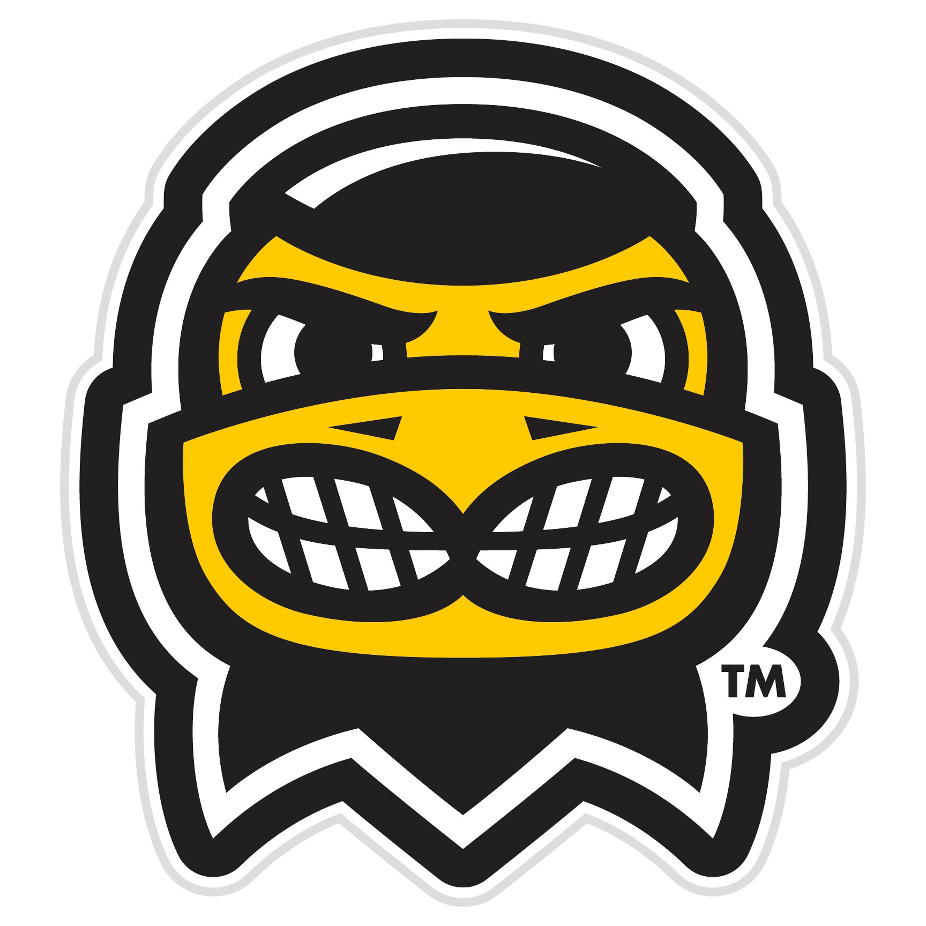 Evergreen 8LED980MAS Iowa Hawkeyes 23-Inches W x 23-Inches H Acrylic Sports Wall Phrases Wall accent