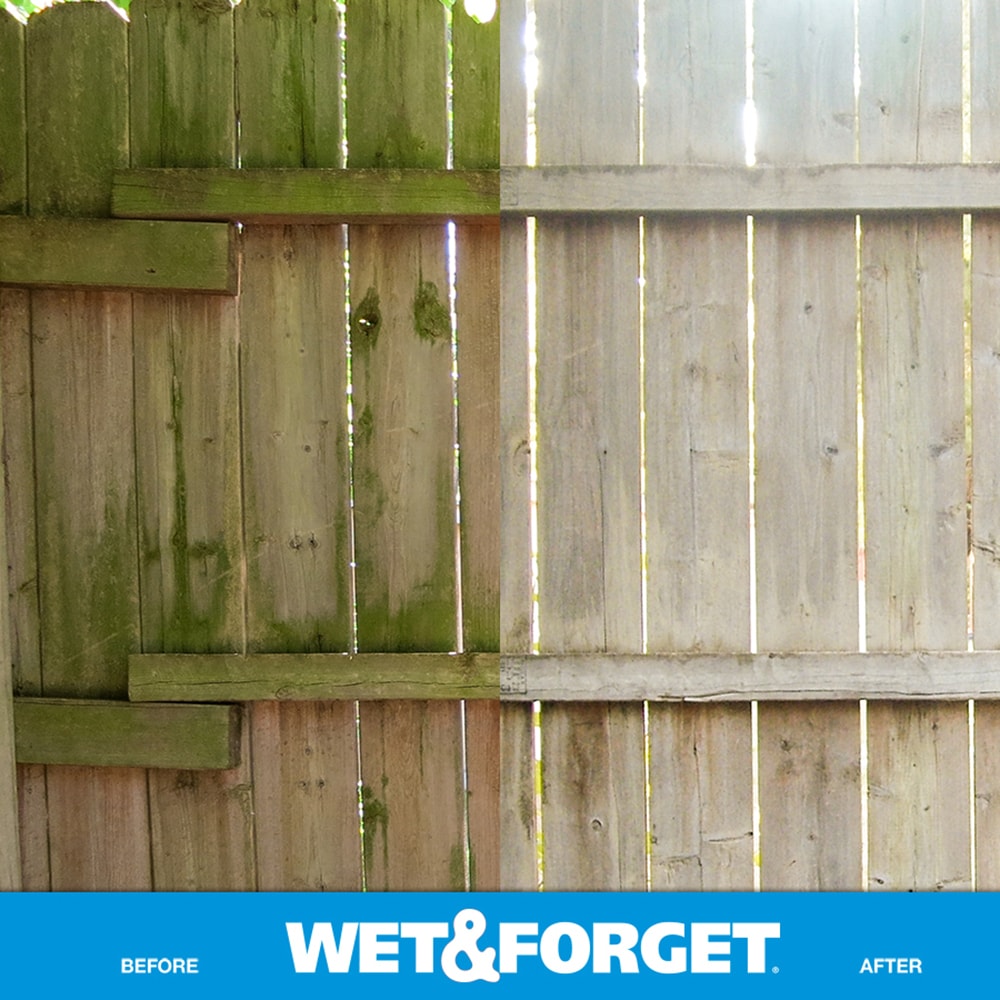 Wet & Forget (Vaccinate) - Wet & Forget -- moss, algae, lichen, mold,  mildew cleaner #